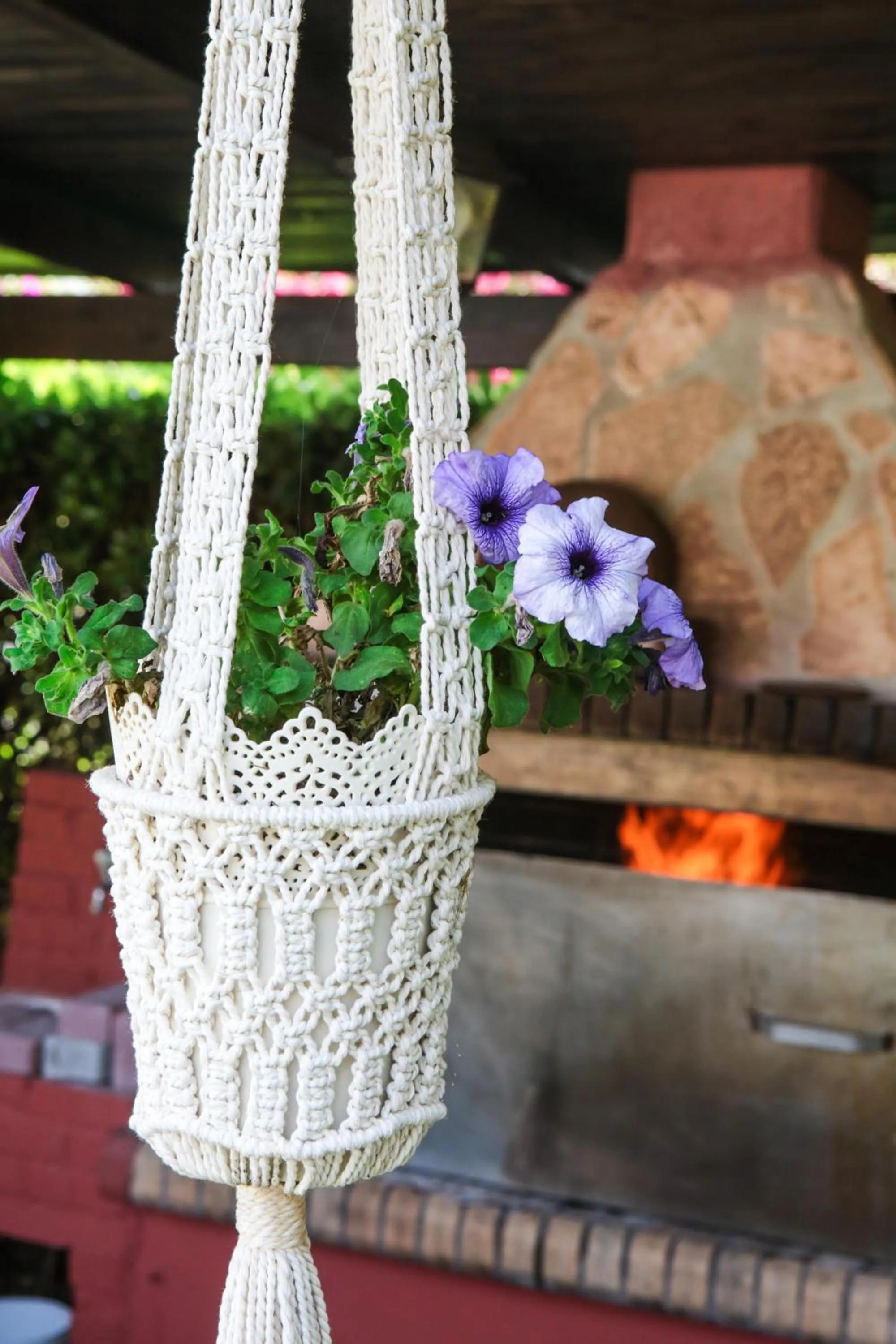 BBQ facilities in Dendrolivano