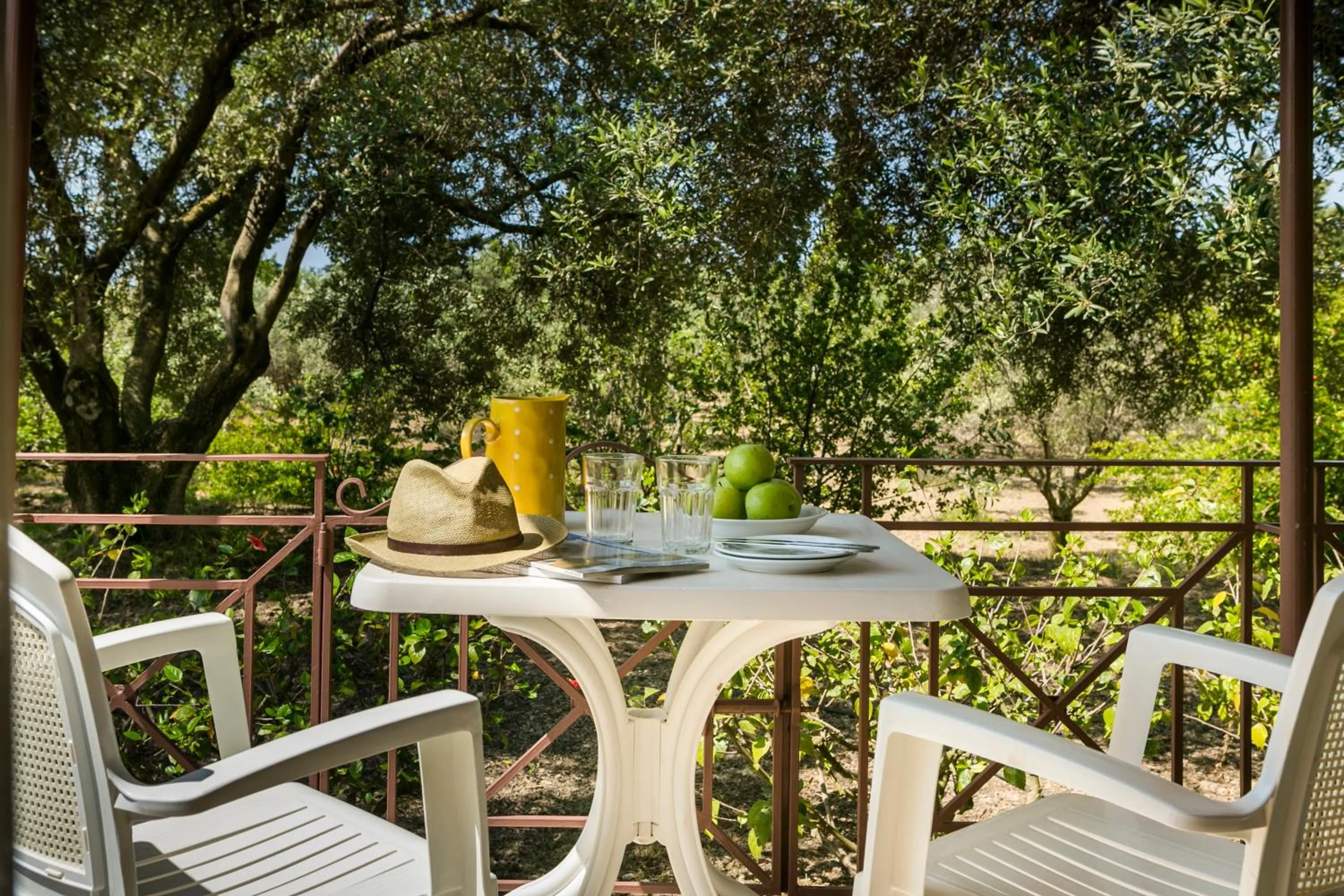 Balcony/Terrace in Dendrolivano