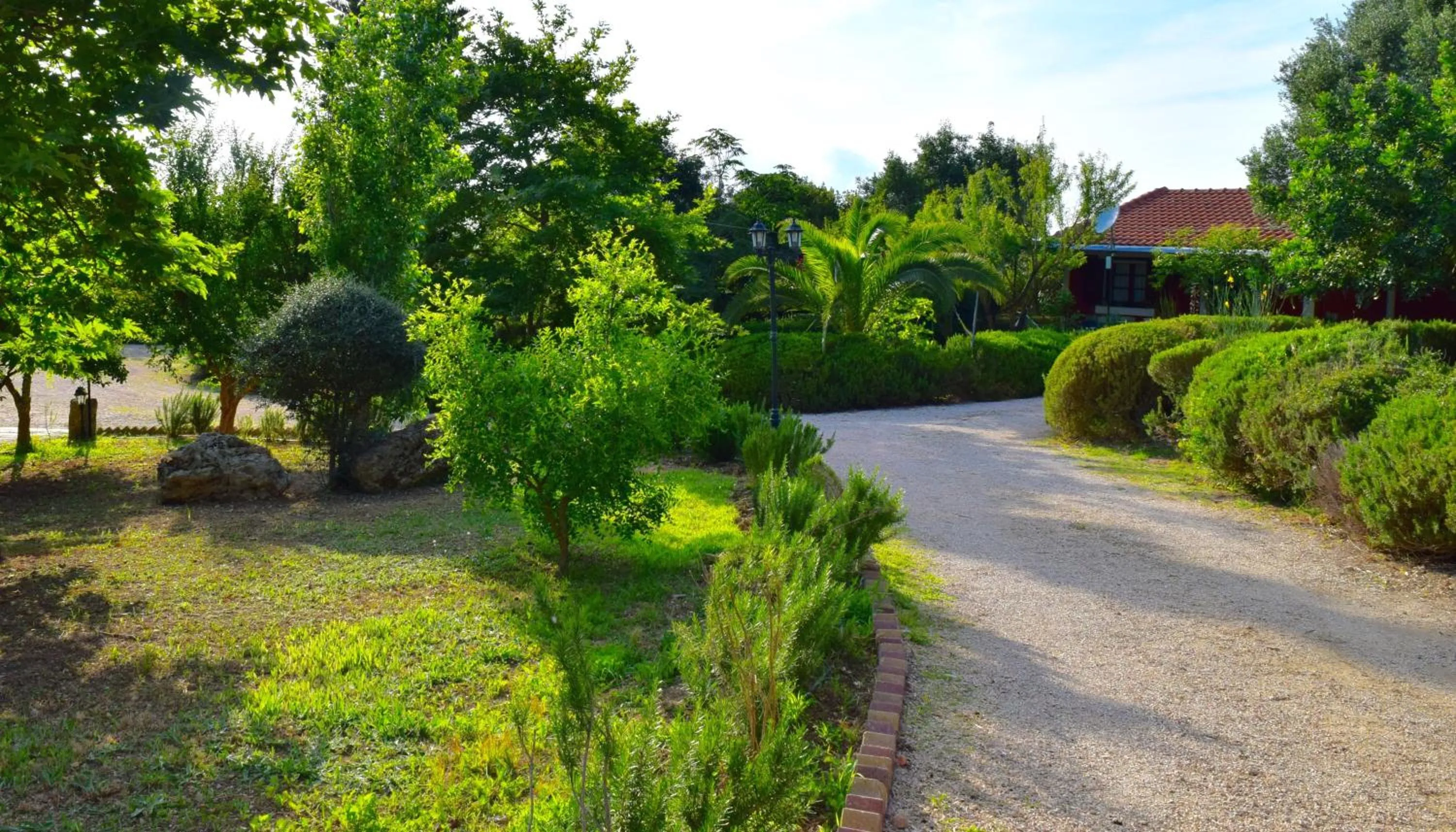 Garden in Dendrolivano