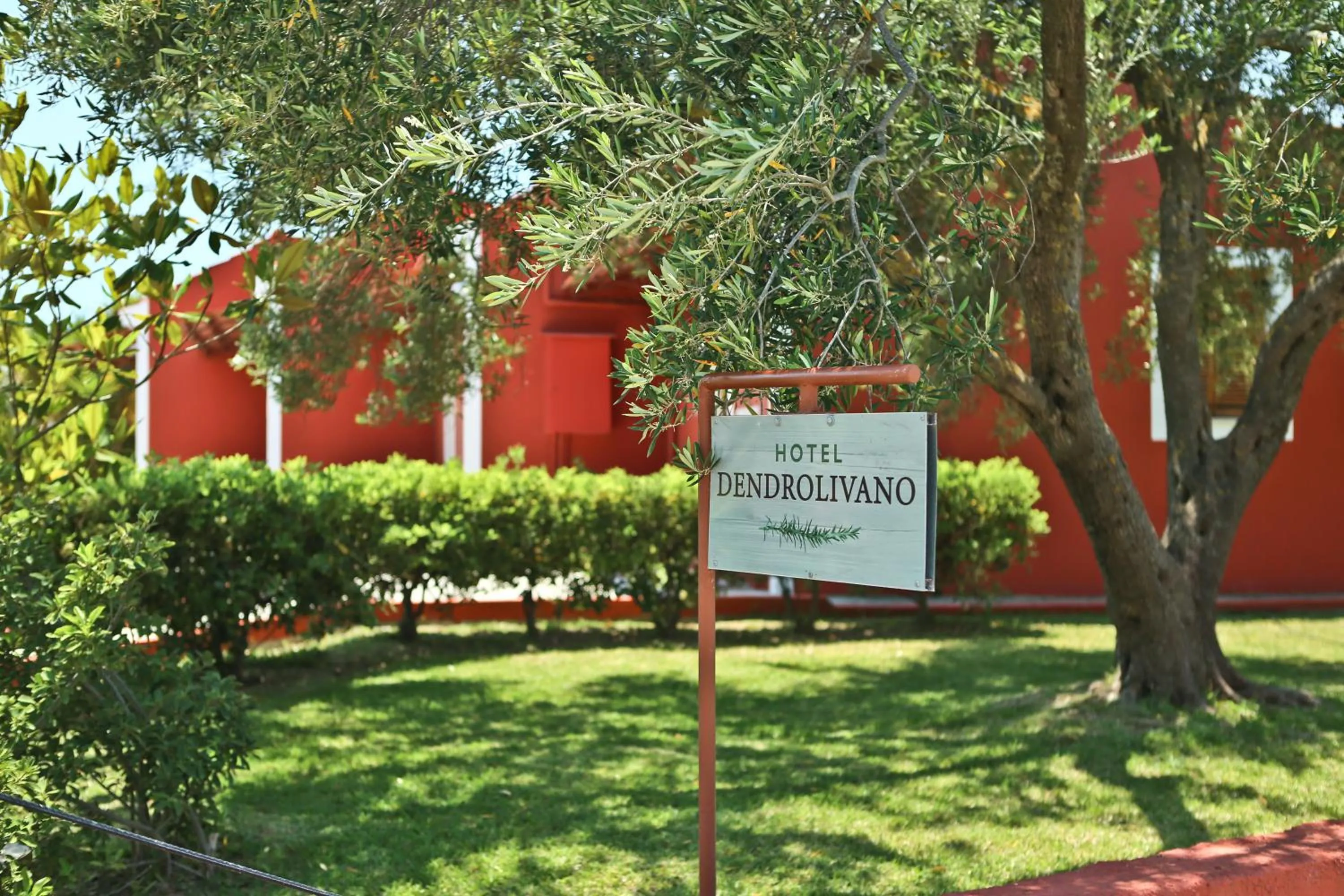 Garden in Dendrolivano