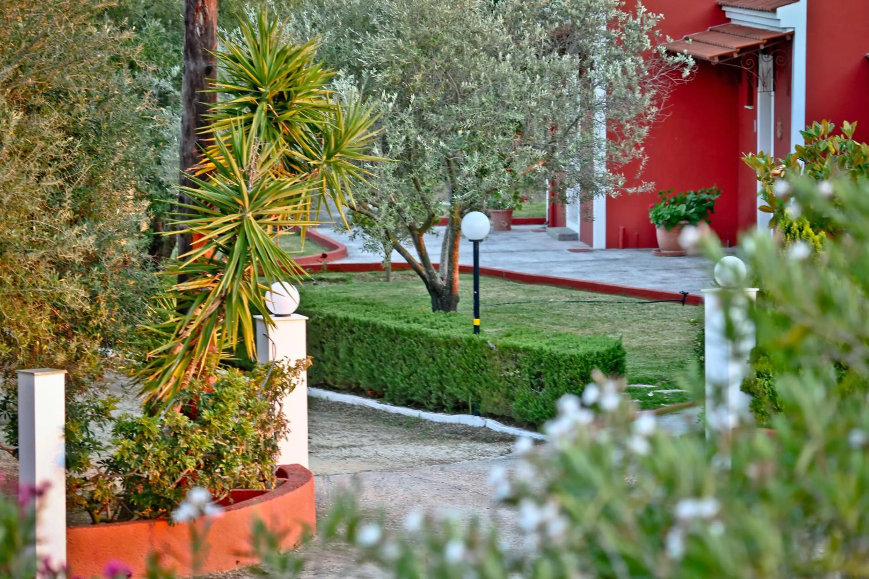 Garden in Dendrolivano