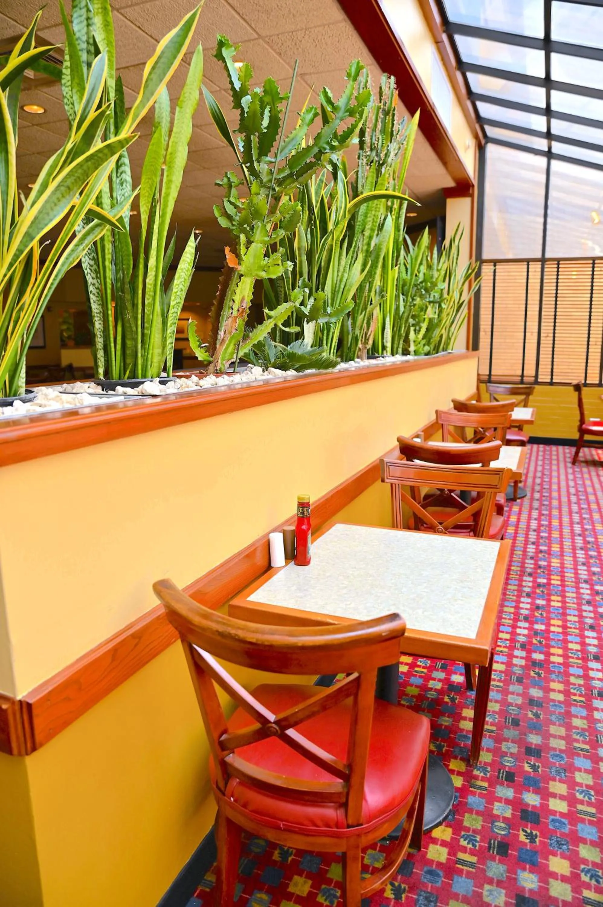 Restaurant/places to eat in MCM Elegante Hotel & Suites Lubbock