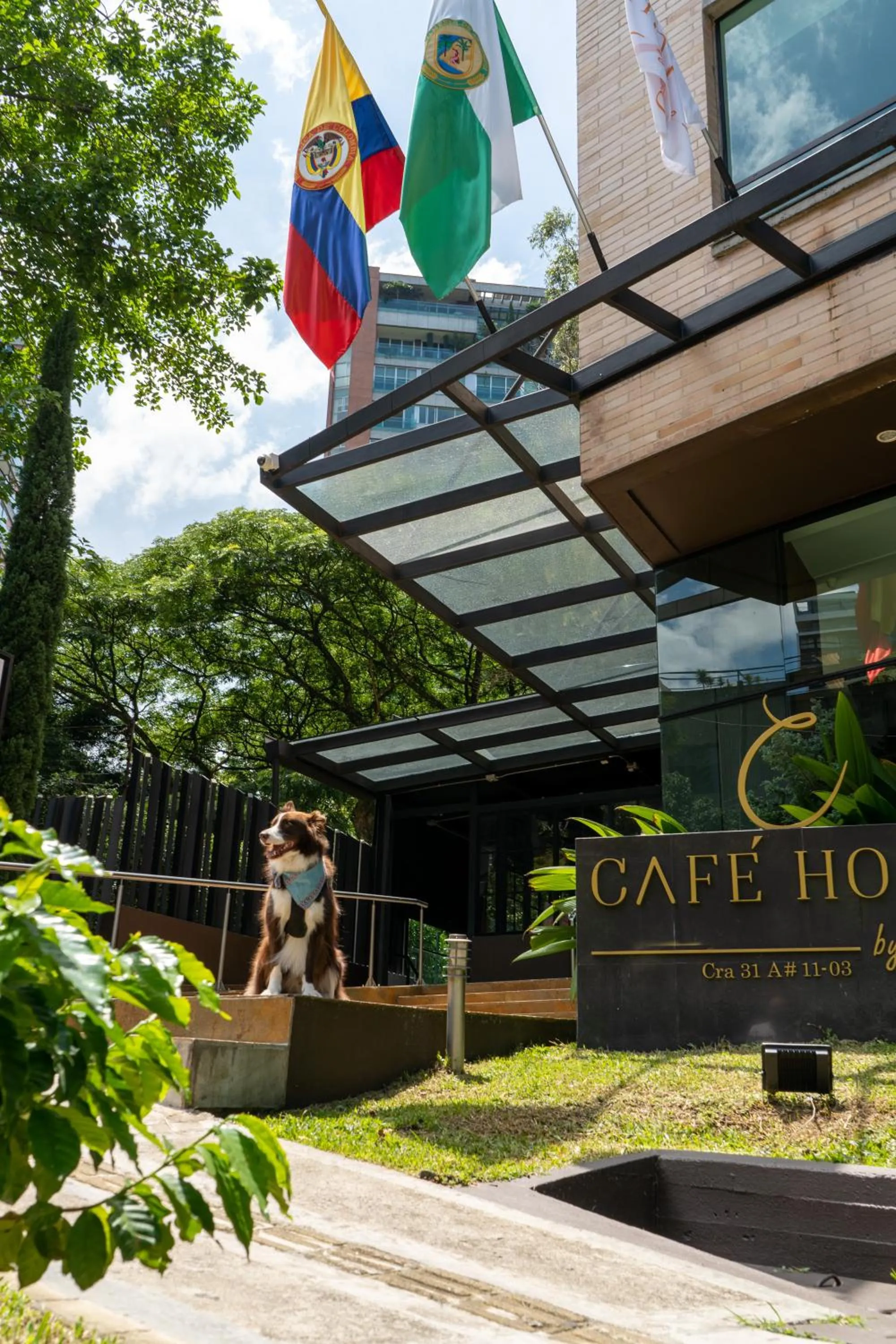 Pets in Cafe Hotel Medellín