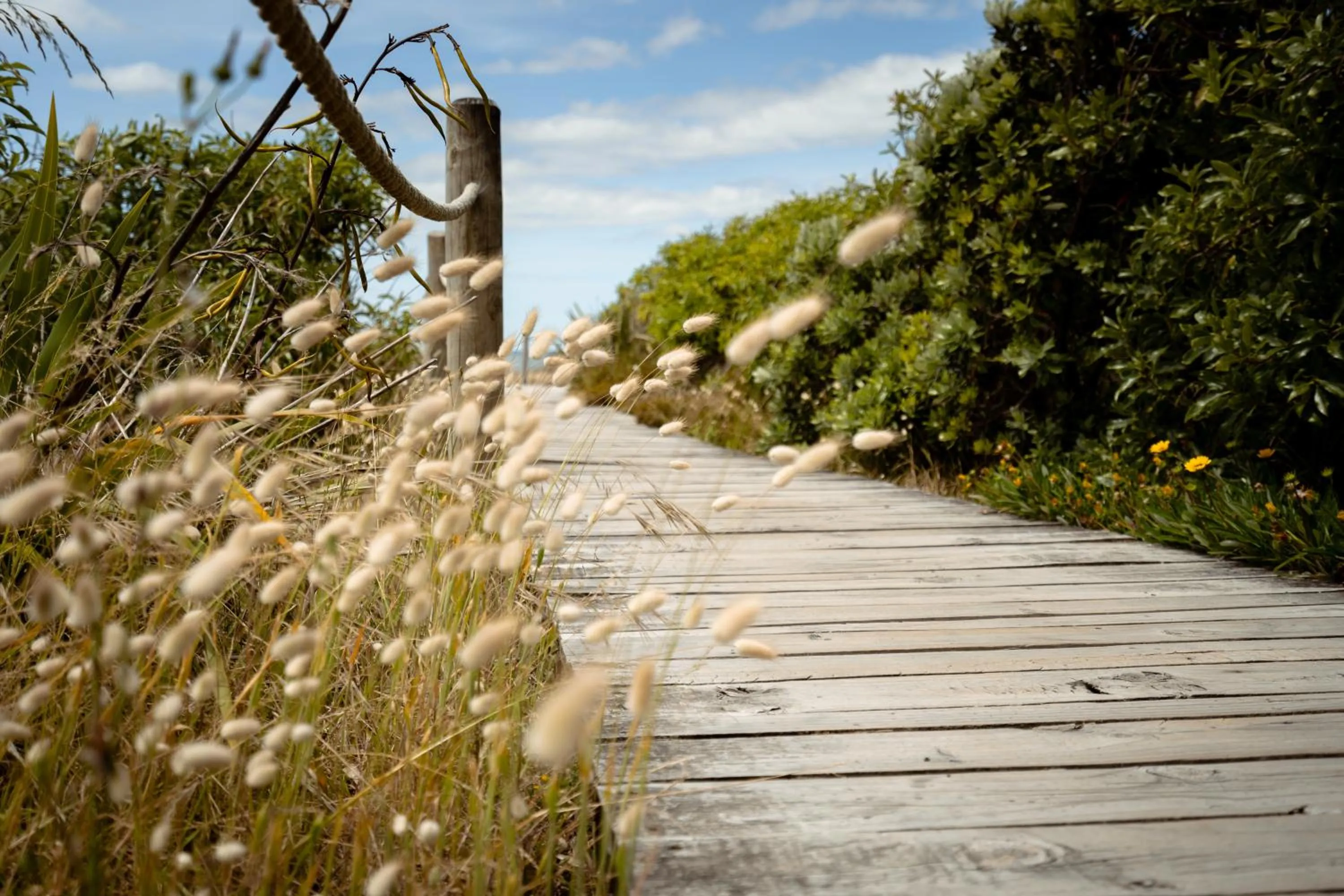 Bowentown Beach Holiday Park