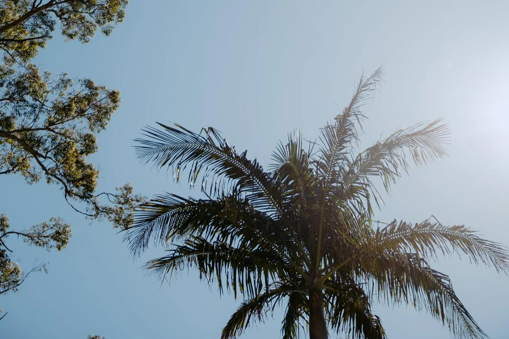 Natural landscape in The Tamborine - Boutique Hotel