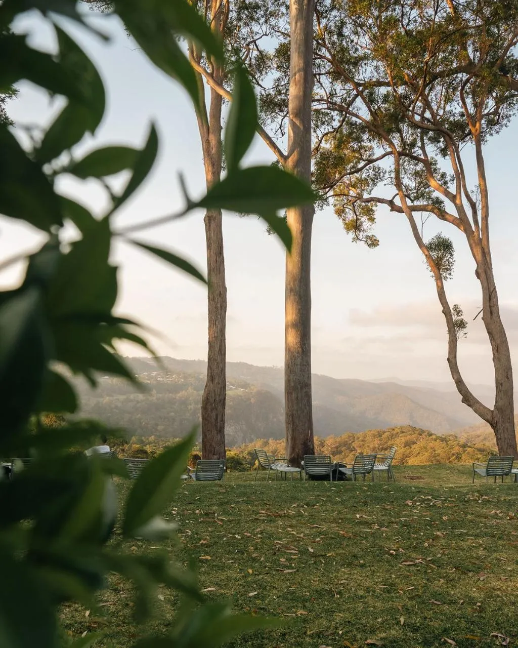 Natural landscape in The Tamborine - Boutique Hotel