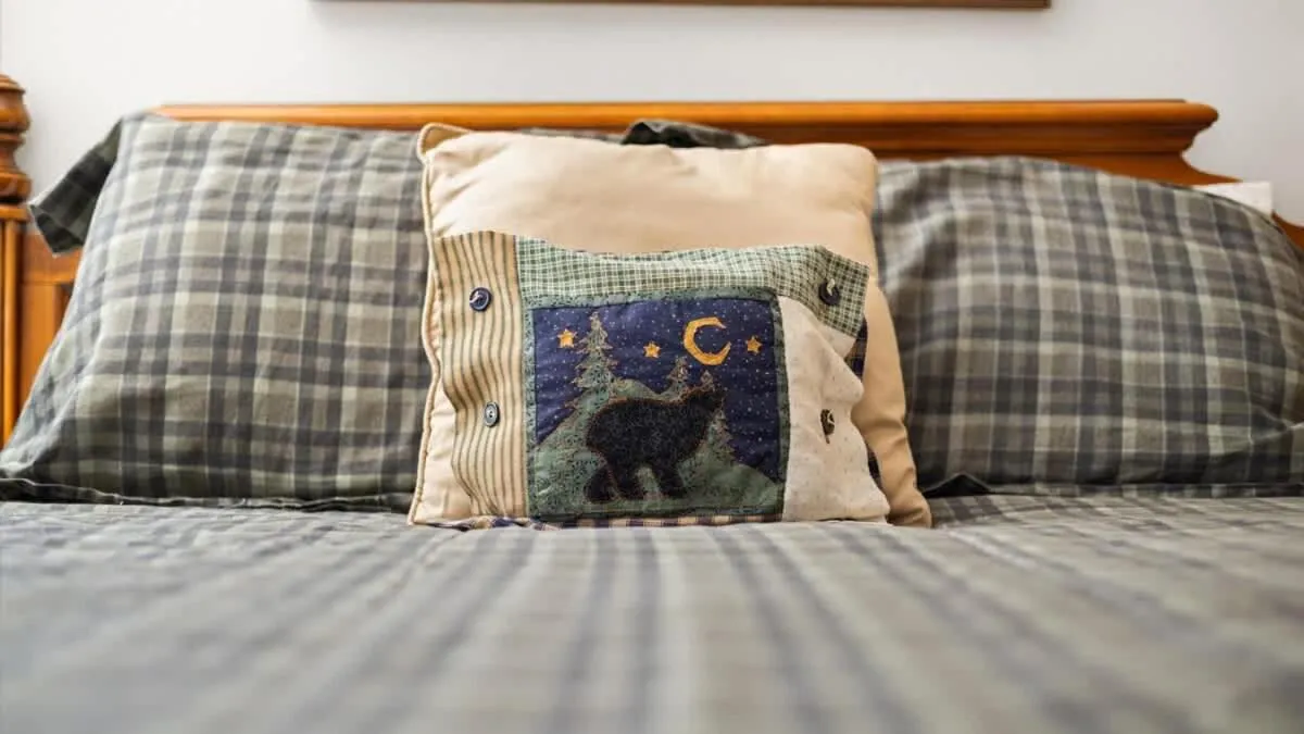 Bed in Mountain View Tee and Ski