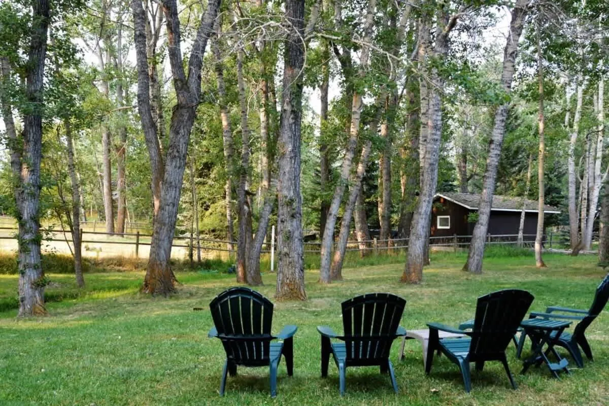 Chickadee Chalet