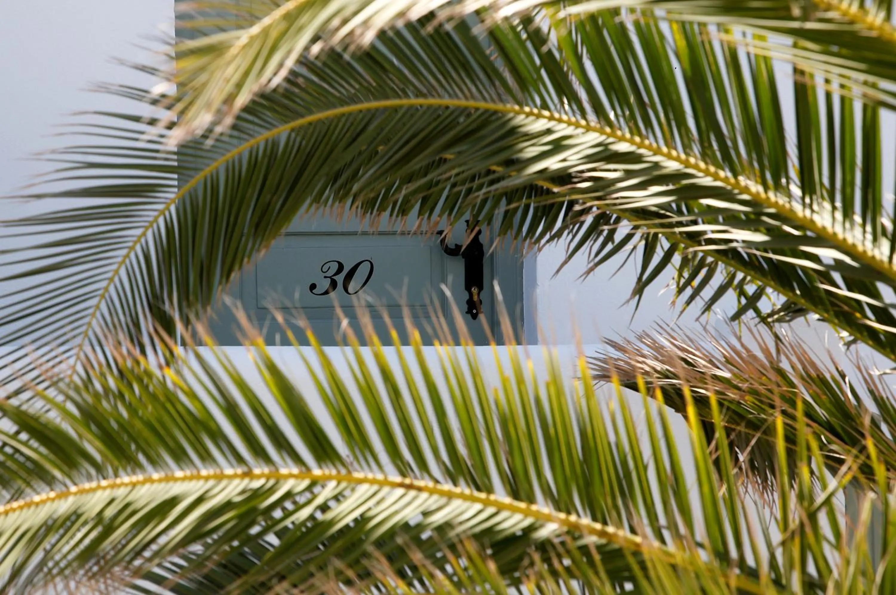 Decorative detail in Olia Hotel