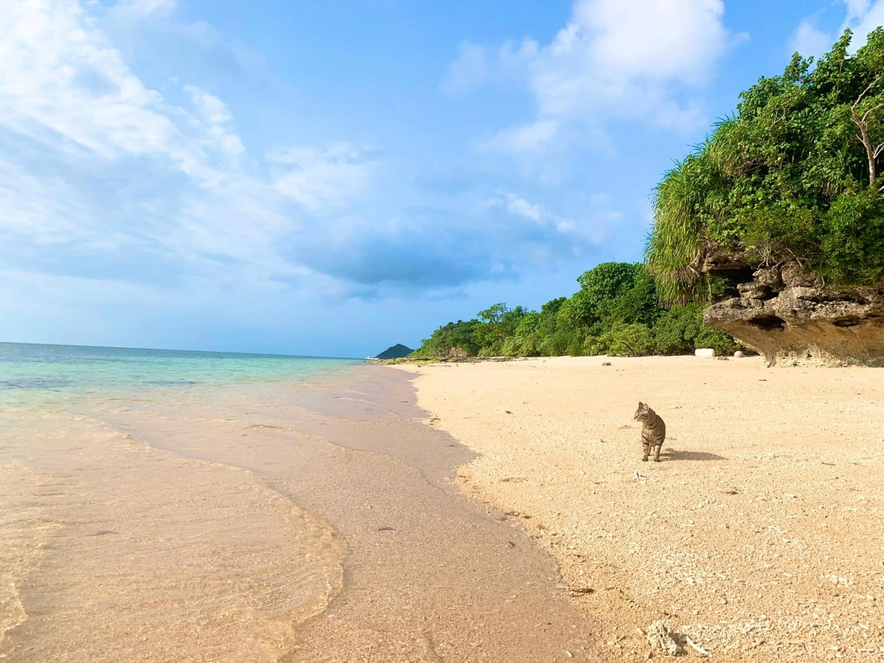 Beach in Villa Itona ishigakijima