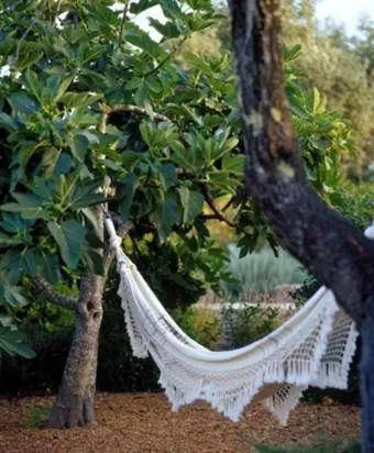 Garden in Quinta da Lua