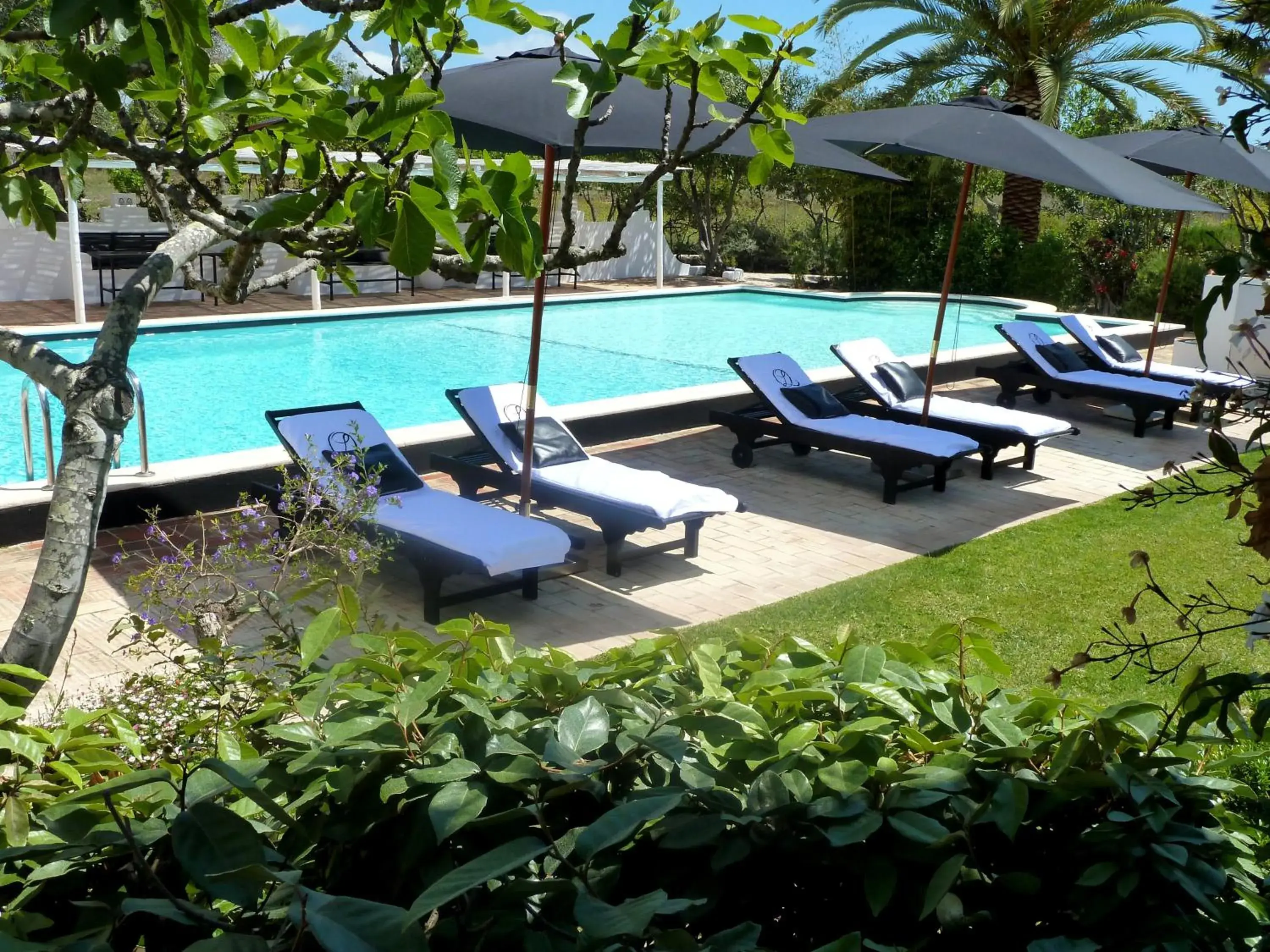 Quinta da Lua Quinta da Lua