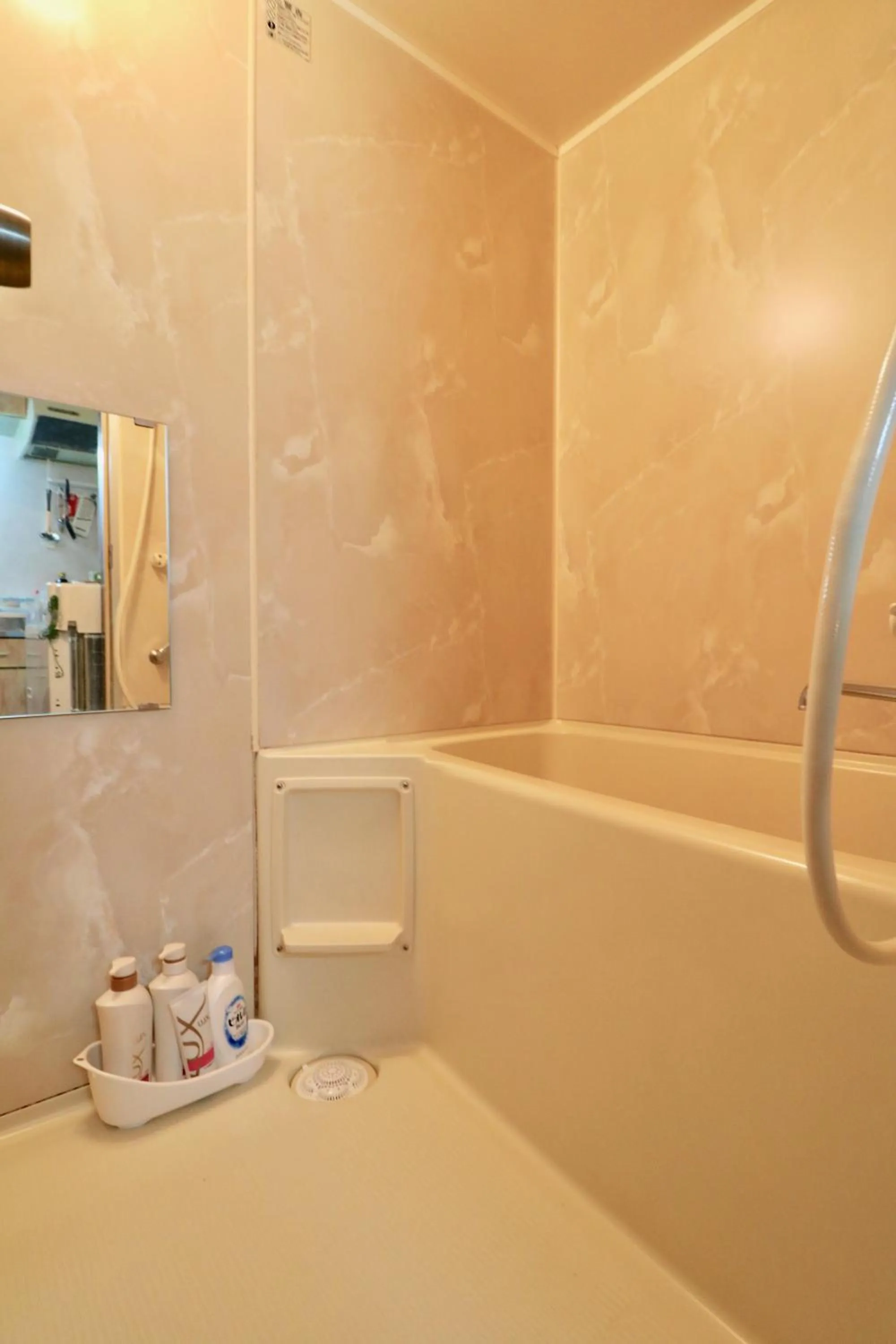 Bathroom in Obligado