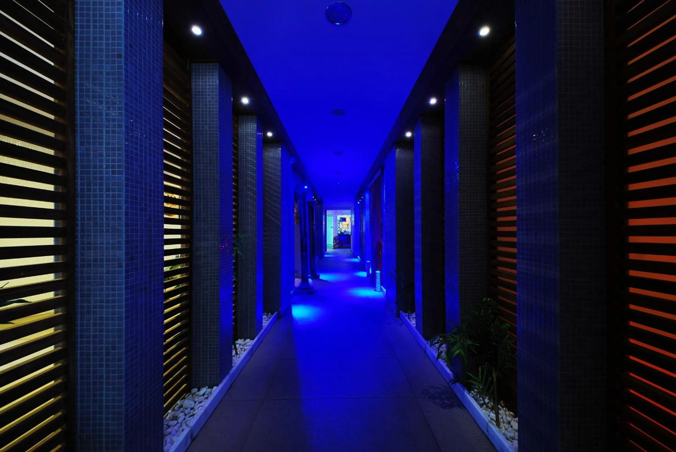 Hot Spring Bath in Grand Pasa Hotel