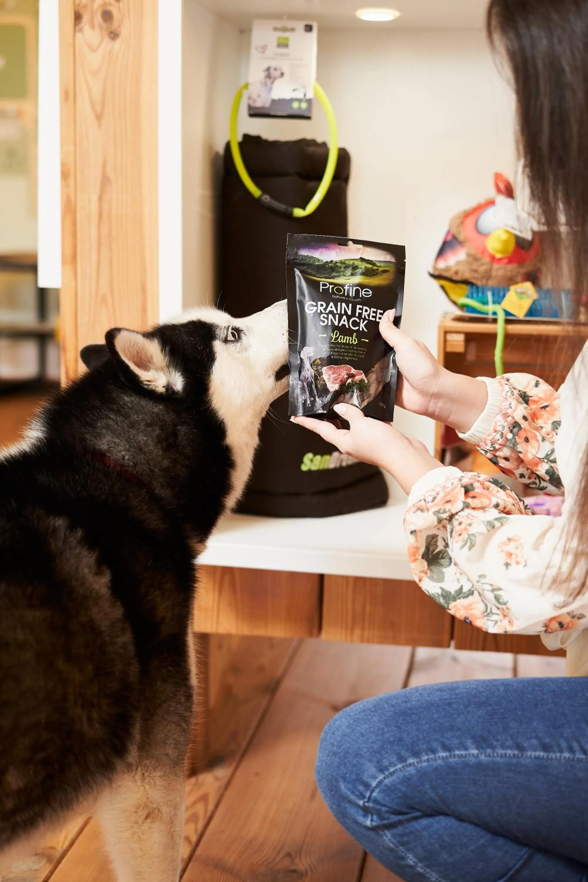 Lobby or reception in Chalets Franciska Major, Pro Village