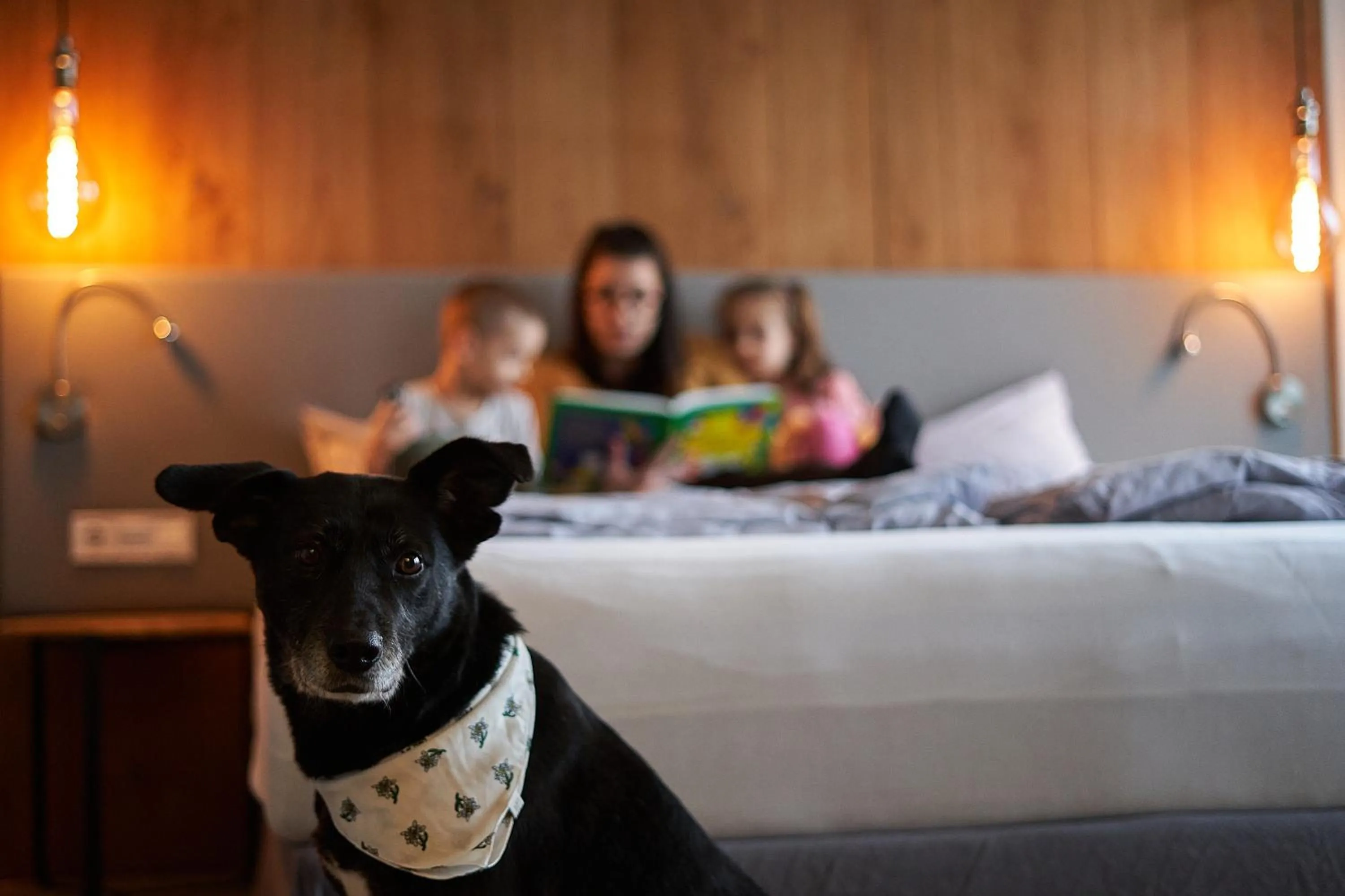 Bed in Chalets Franciska Major, Pro Village