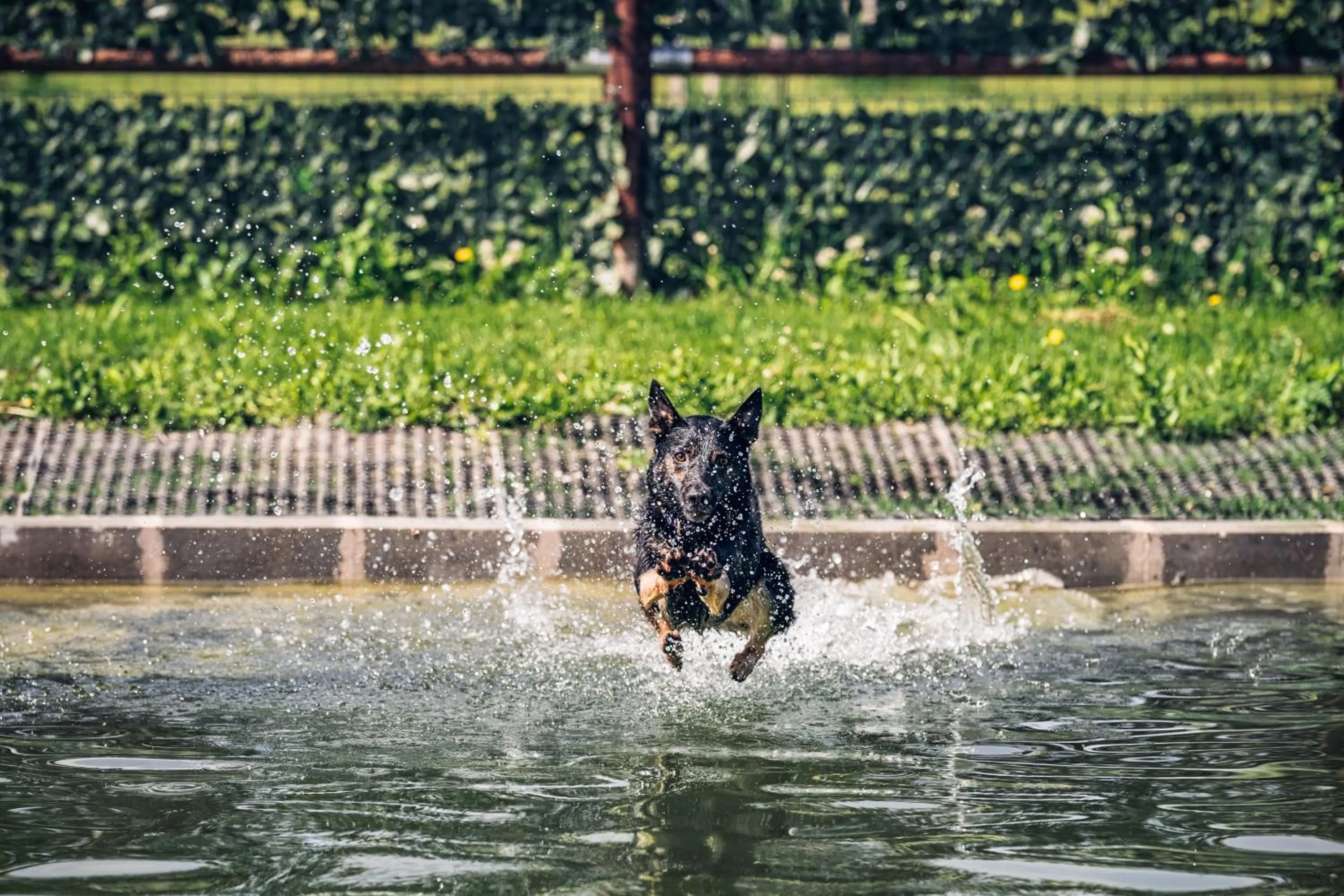 Beach in Chalets Franciska Major, Pro Village