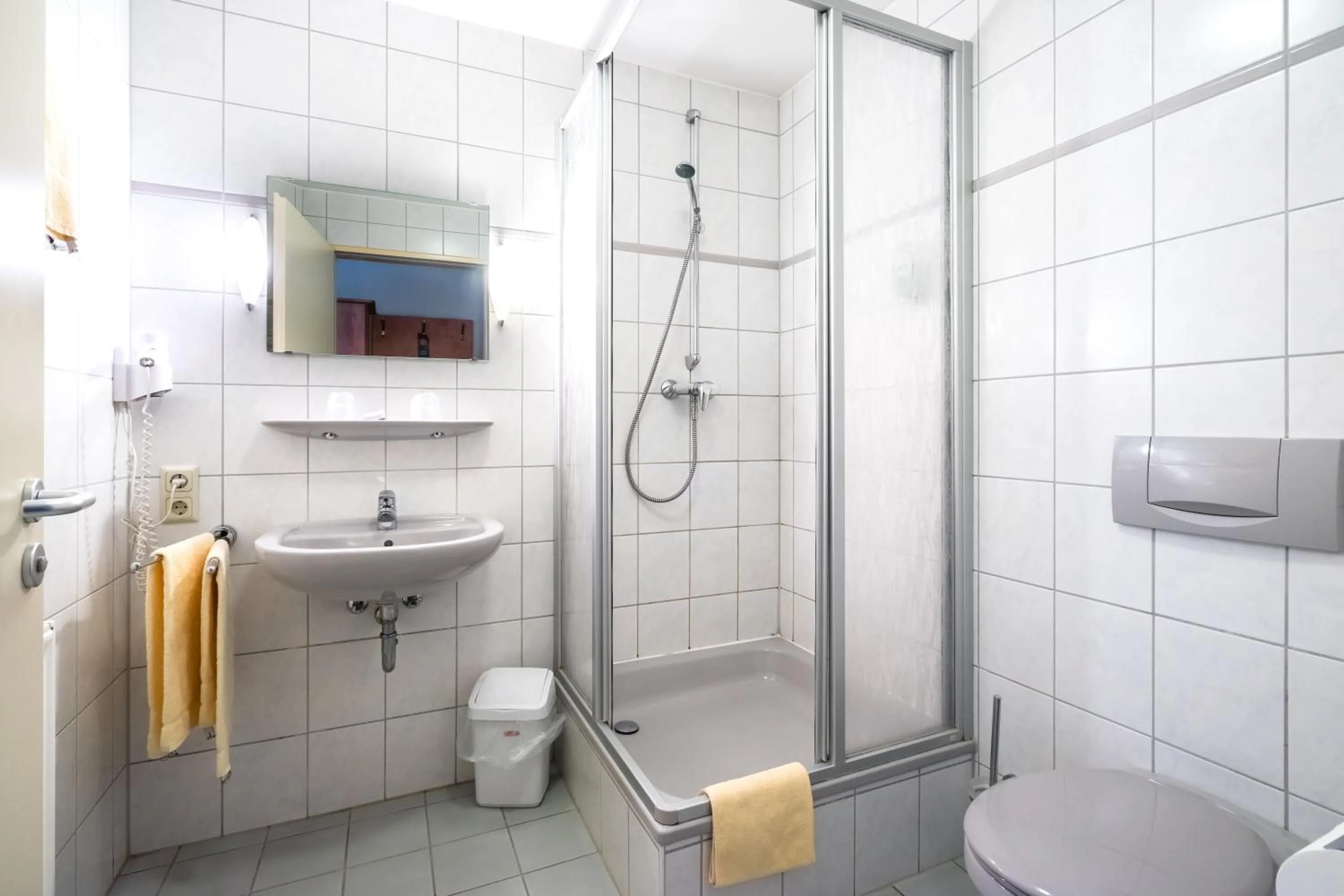 Shower in Landhotel Ringelsteiner Mühle