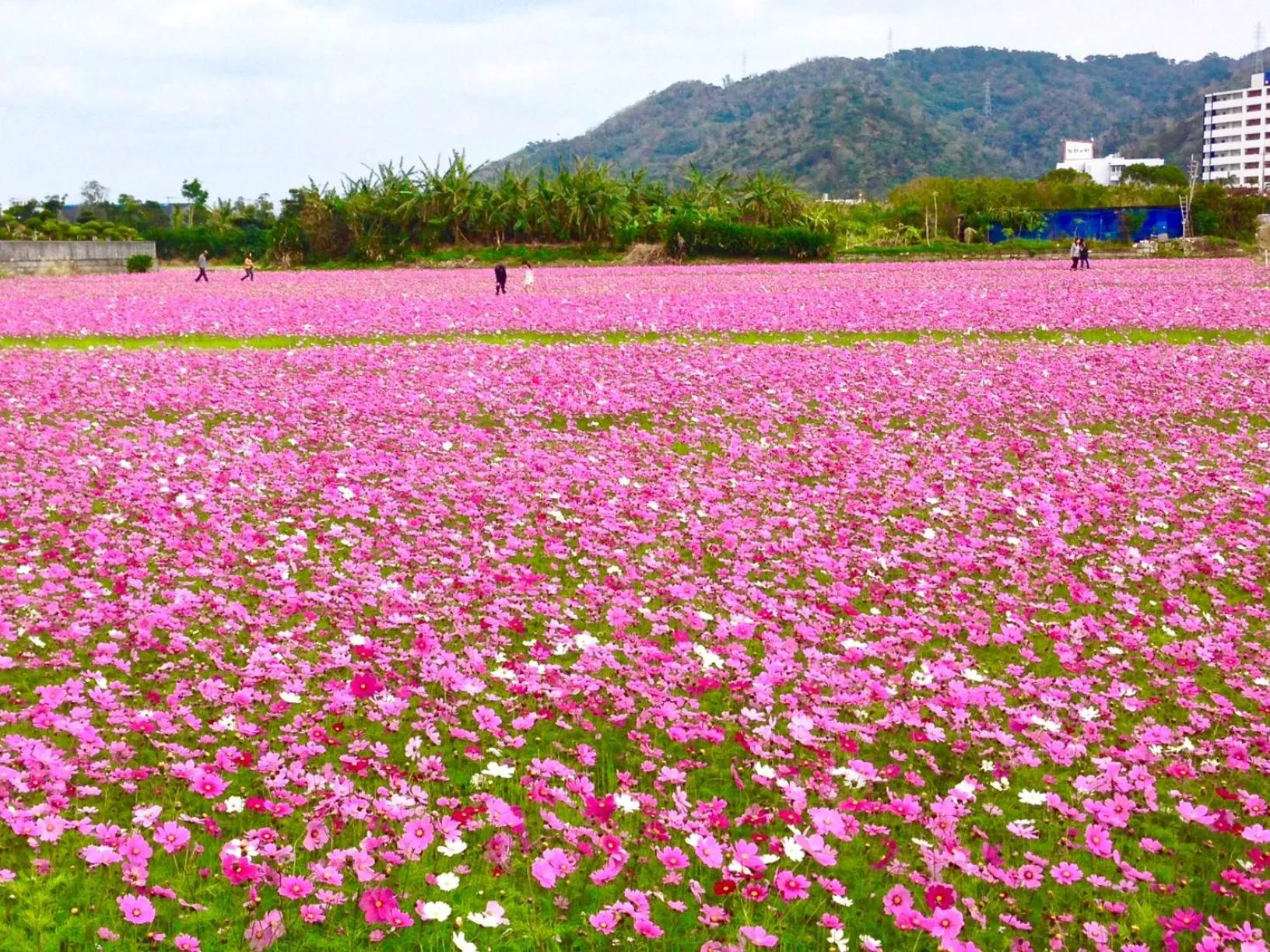Nearby landmark in Bougain Terrace Resort Ta-chi House