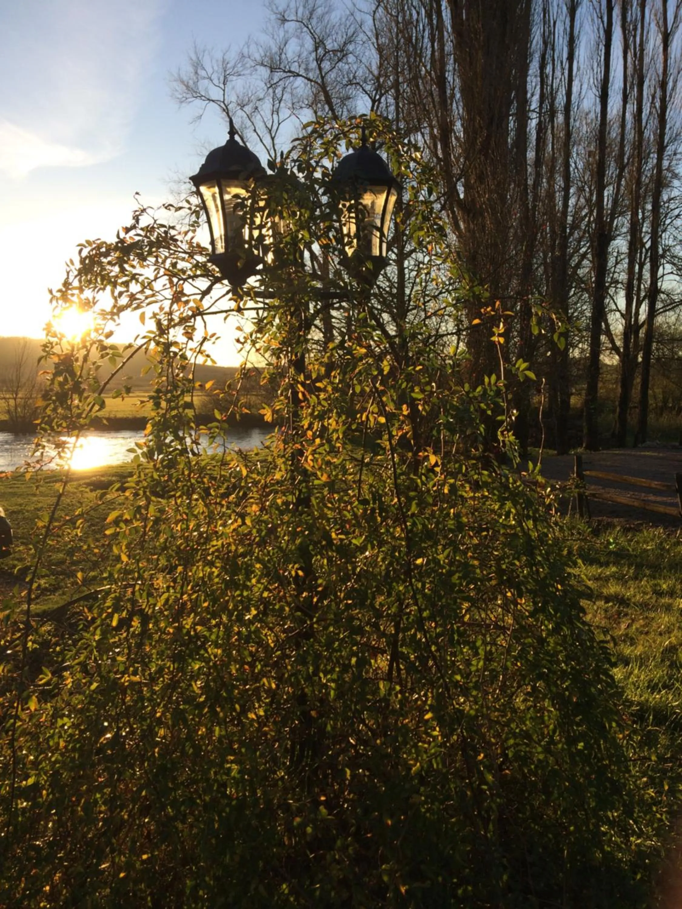 Property building in LOGIS Hôtel Le Chantoiseau