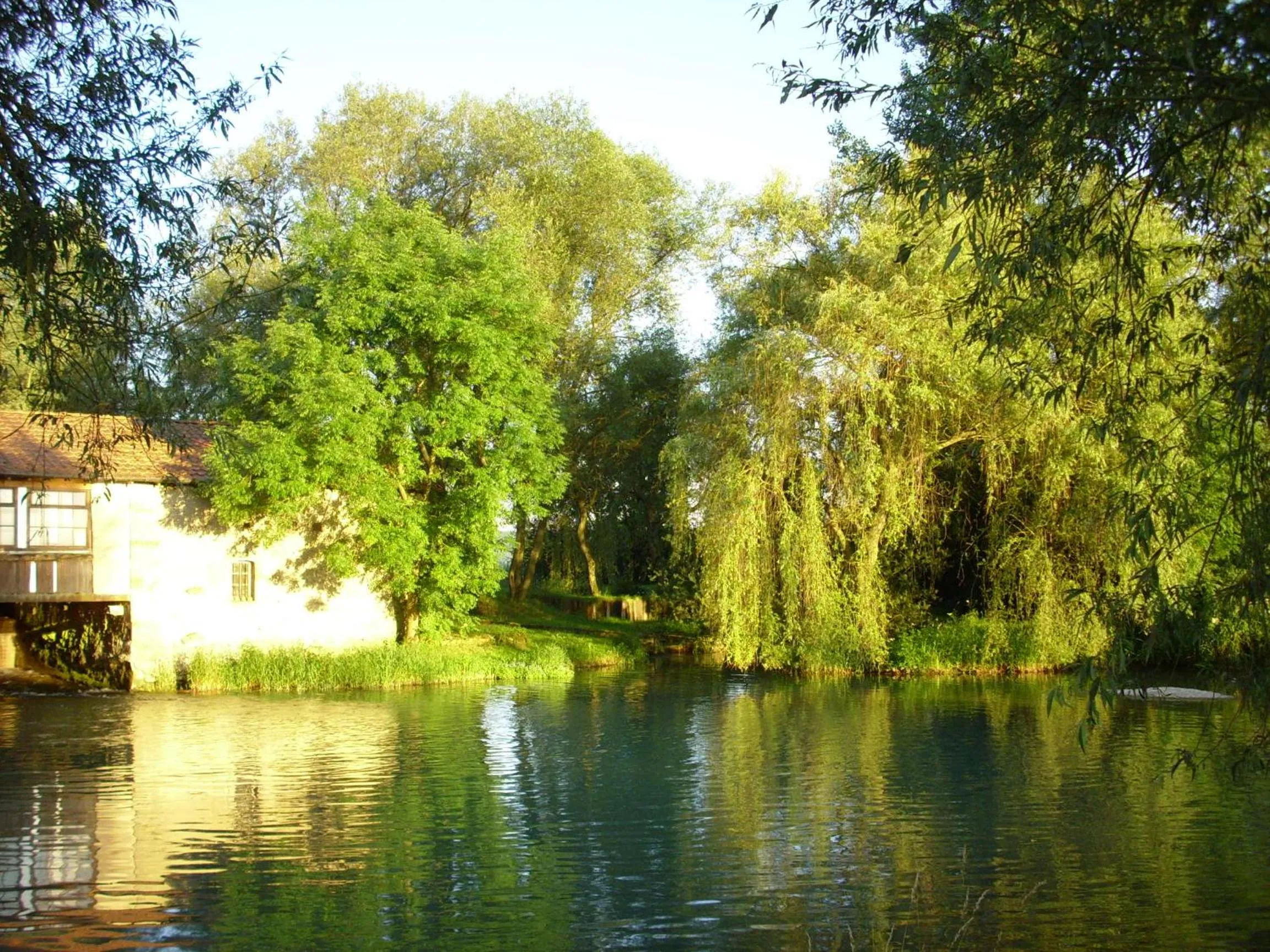 Garden view in LOGIS Hôtel Le Chantoiseau