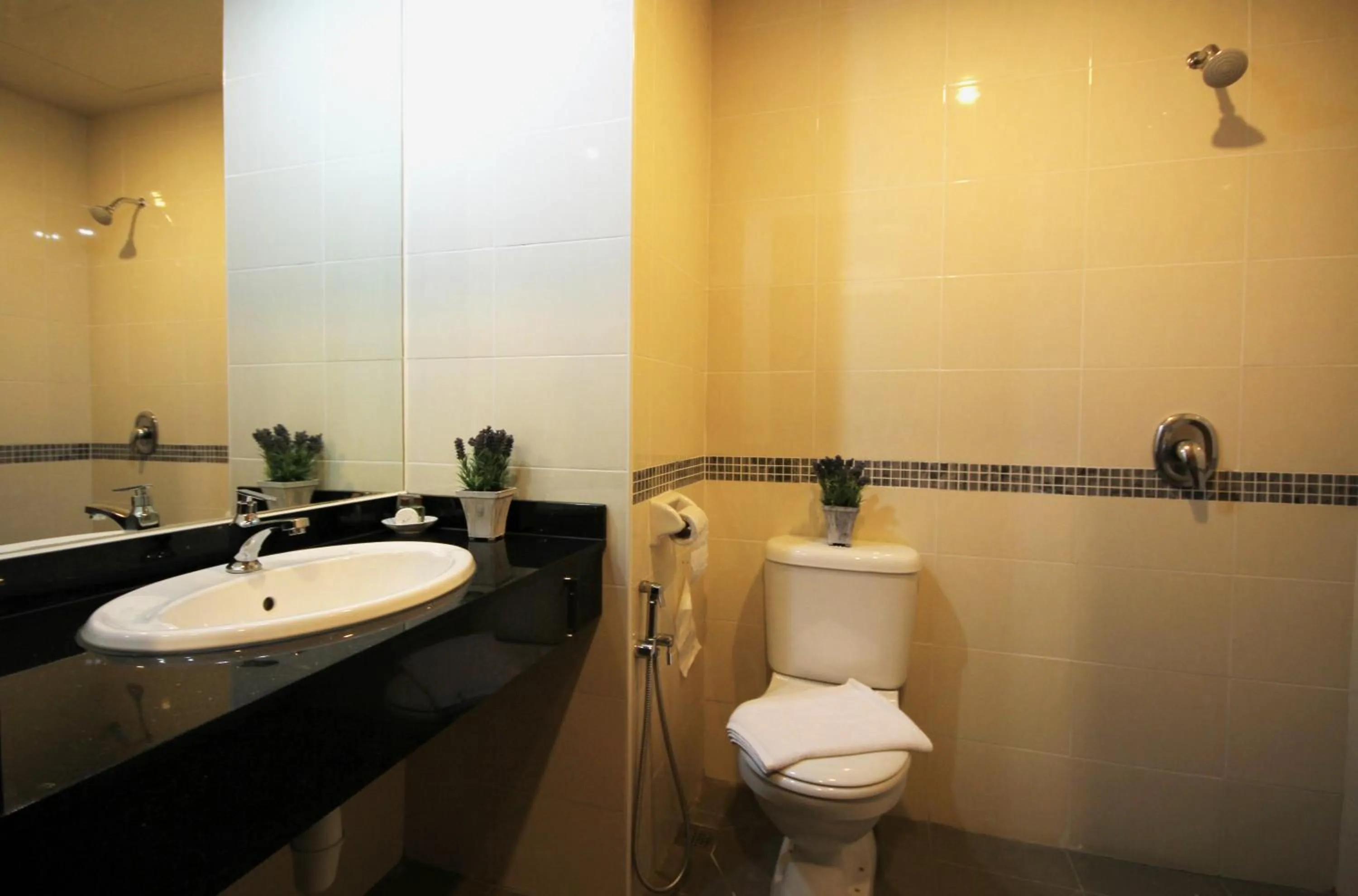 Shower in Aroma Hotel