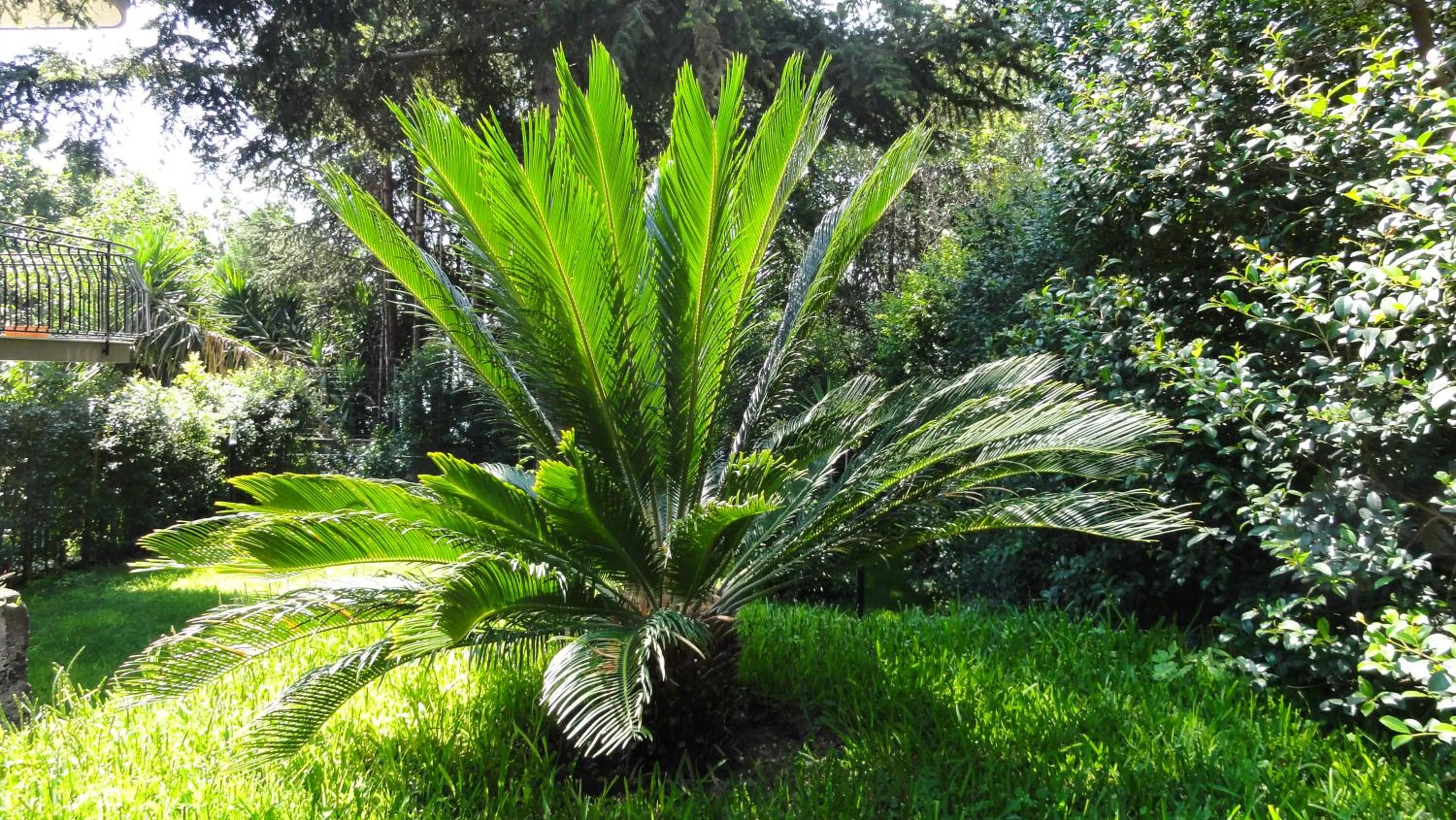 Property building in Etna Sunrise b&b