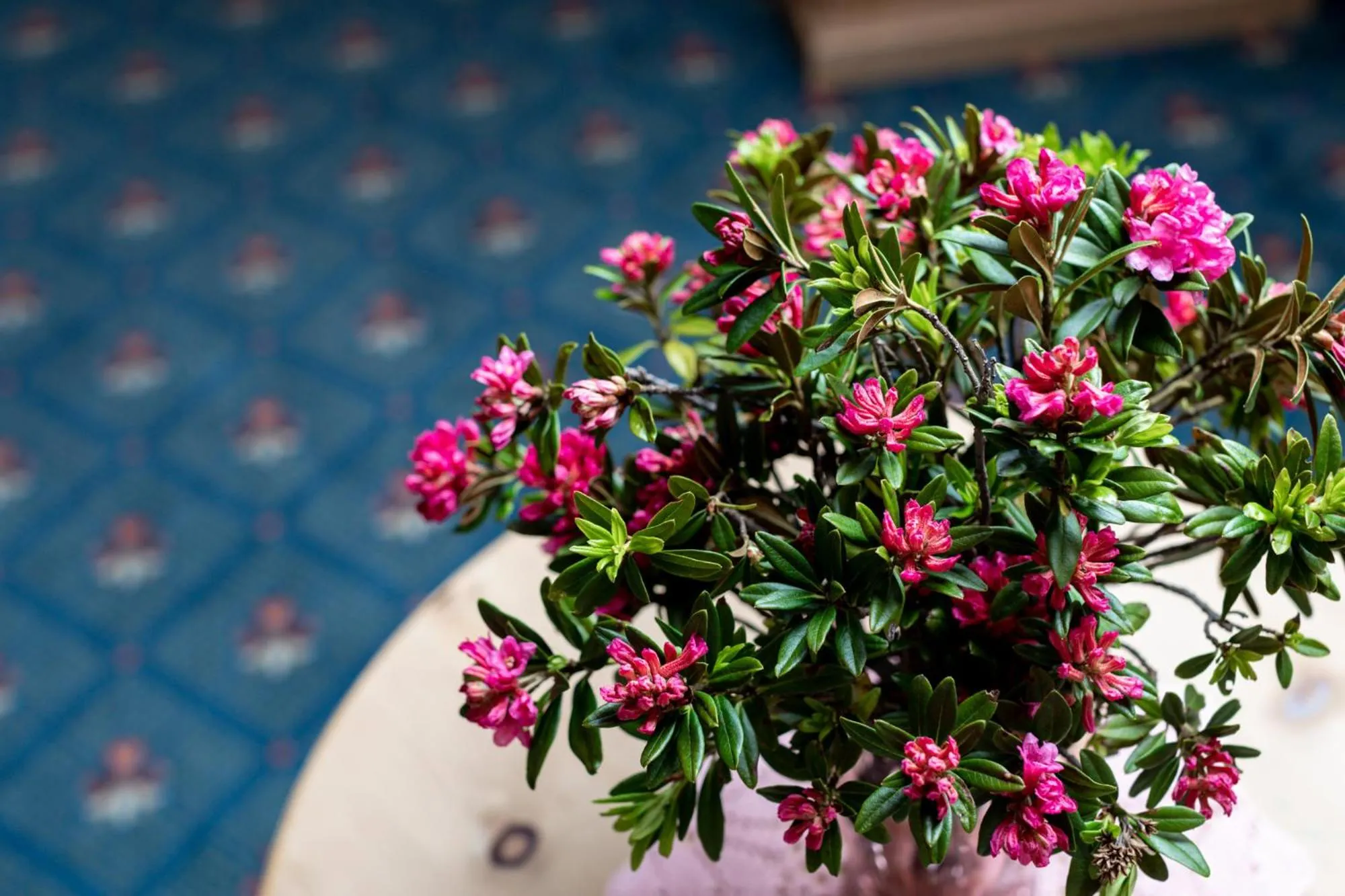 Hotel Waldhaus am See