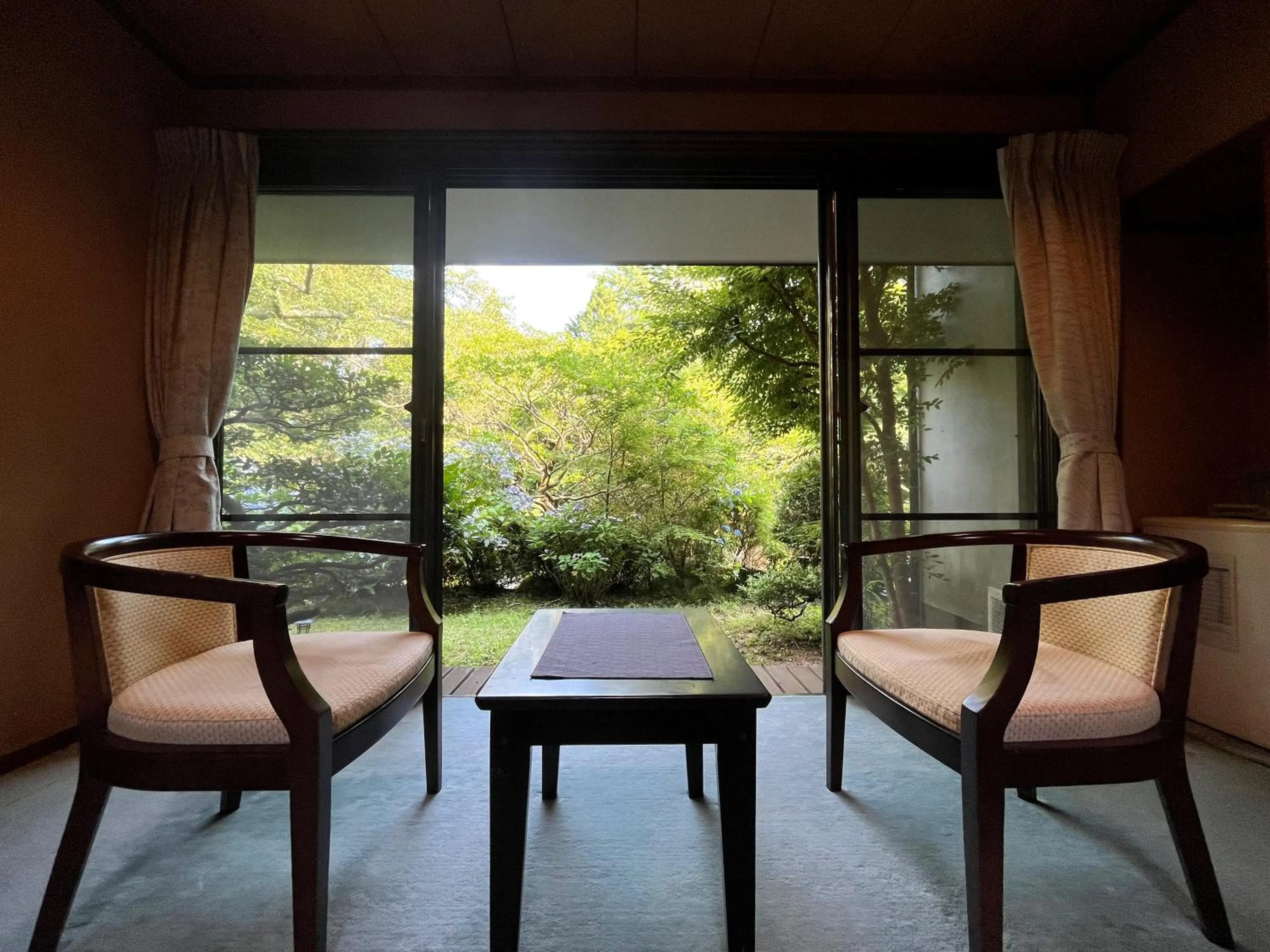 View (from property/room) in Mitake