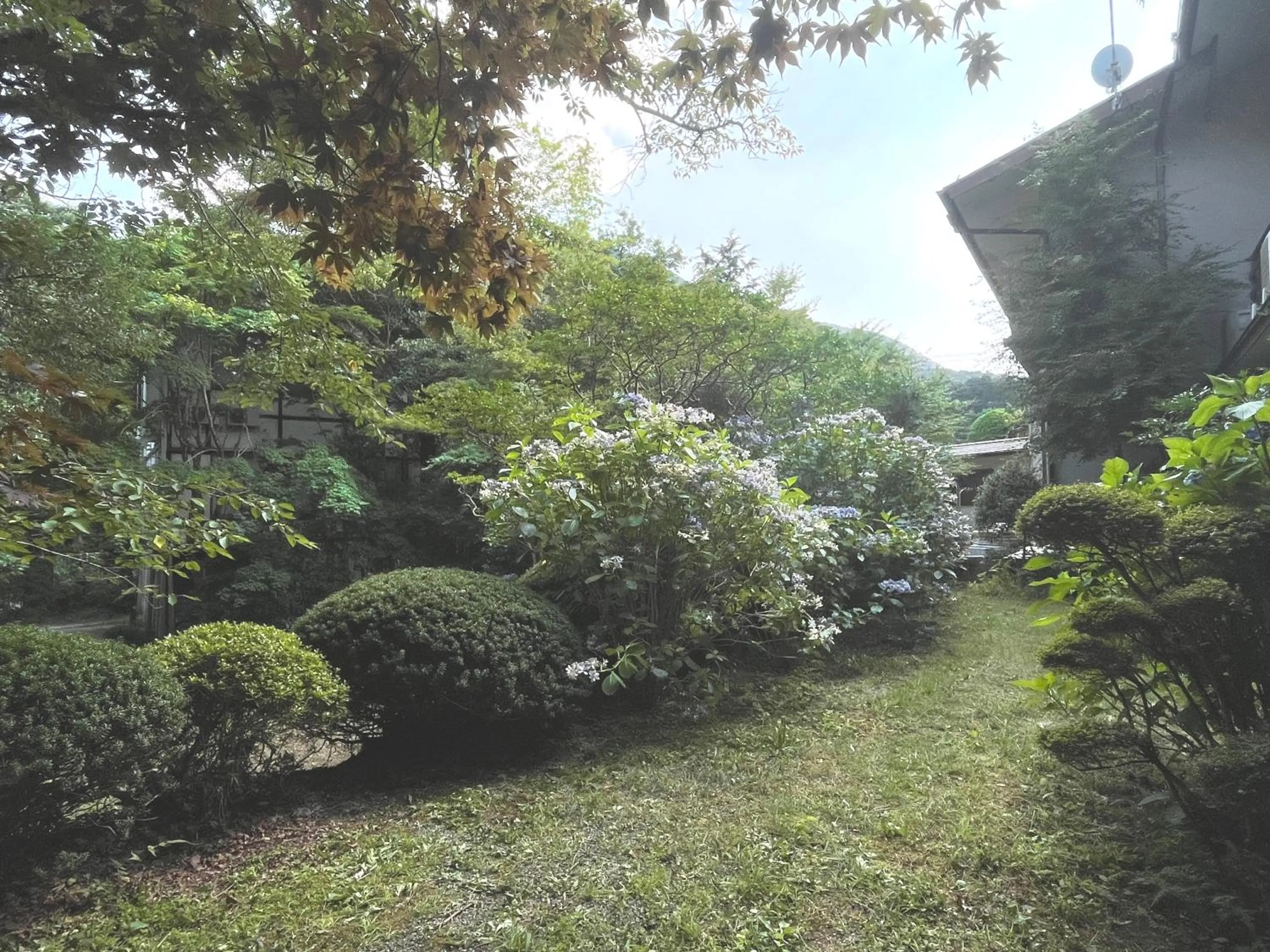 Garden in Mitake
