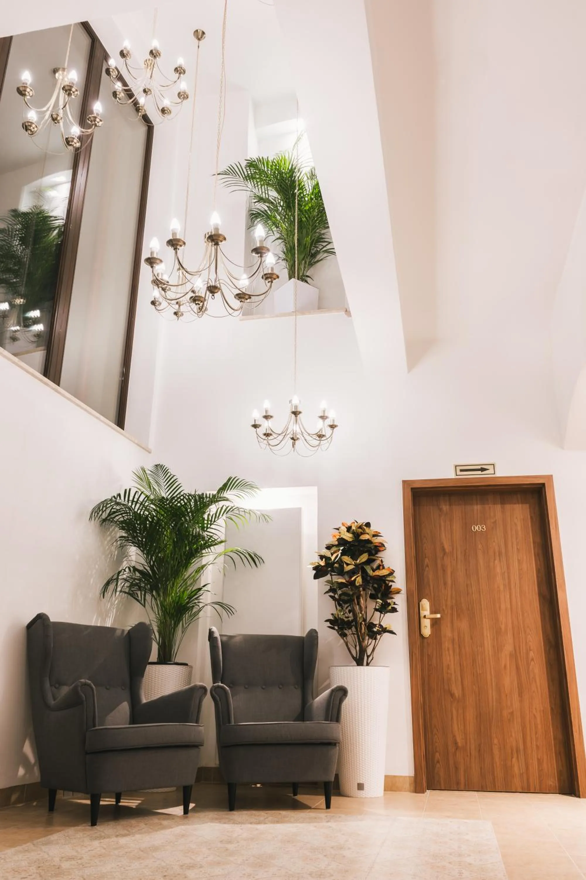 Lobby or reception in Hotel & Apartments Ventus Rosa