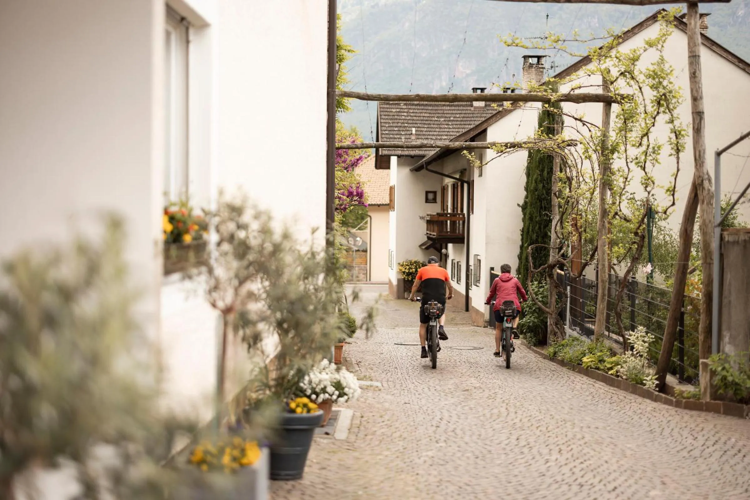Cycling in Weingarten Terlan - Rooms & Breakfast