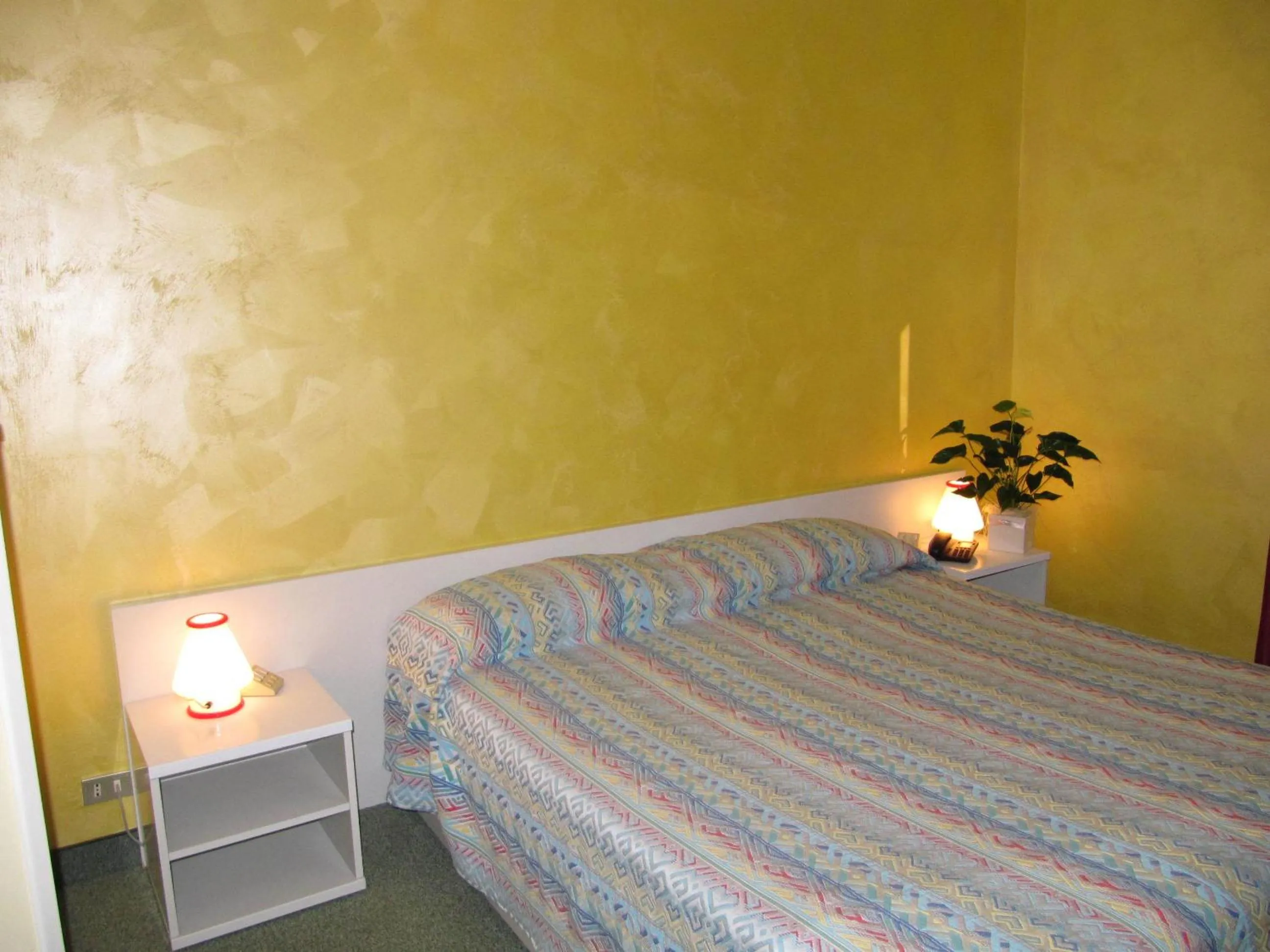 Photo of the whole room in Hotel Garden