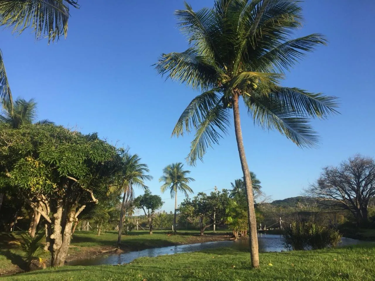 Swimming pool in Blue Marlin Resort&Spa