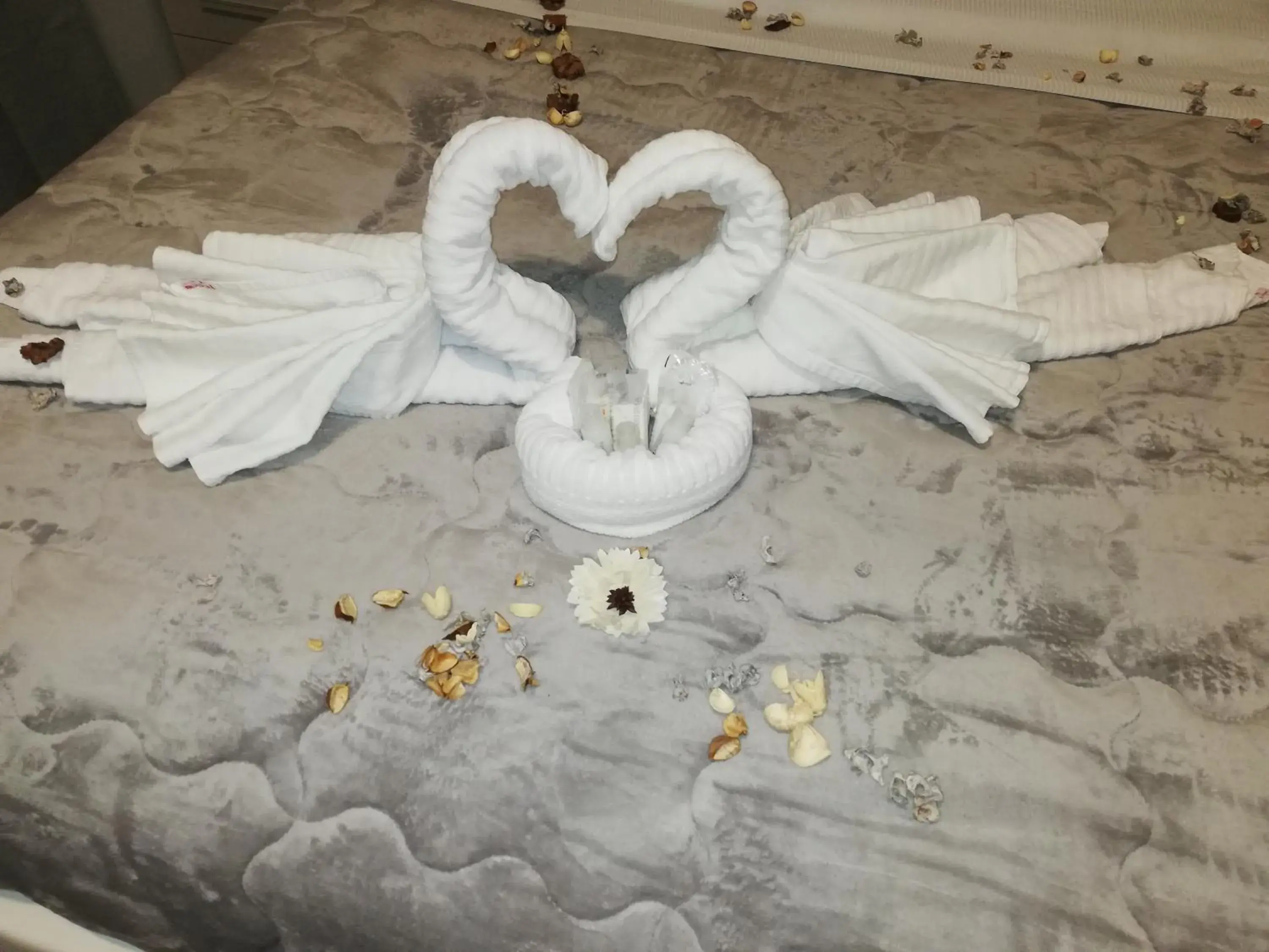 Standard King Room in Garden's Elide Standard King Room in Garden's Elide