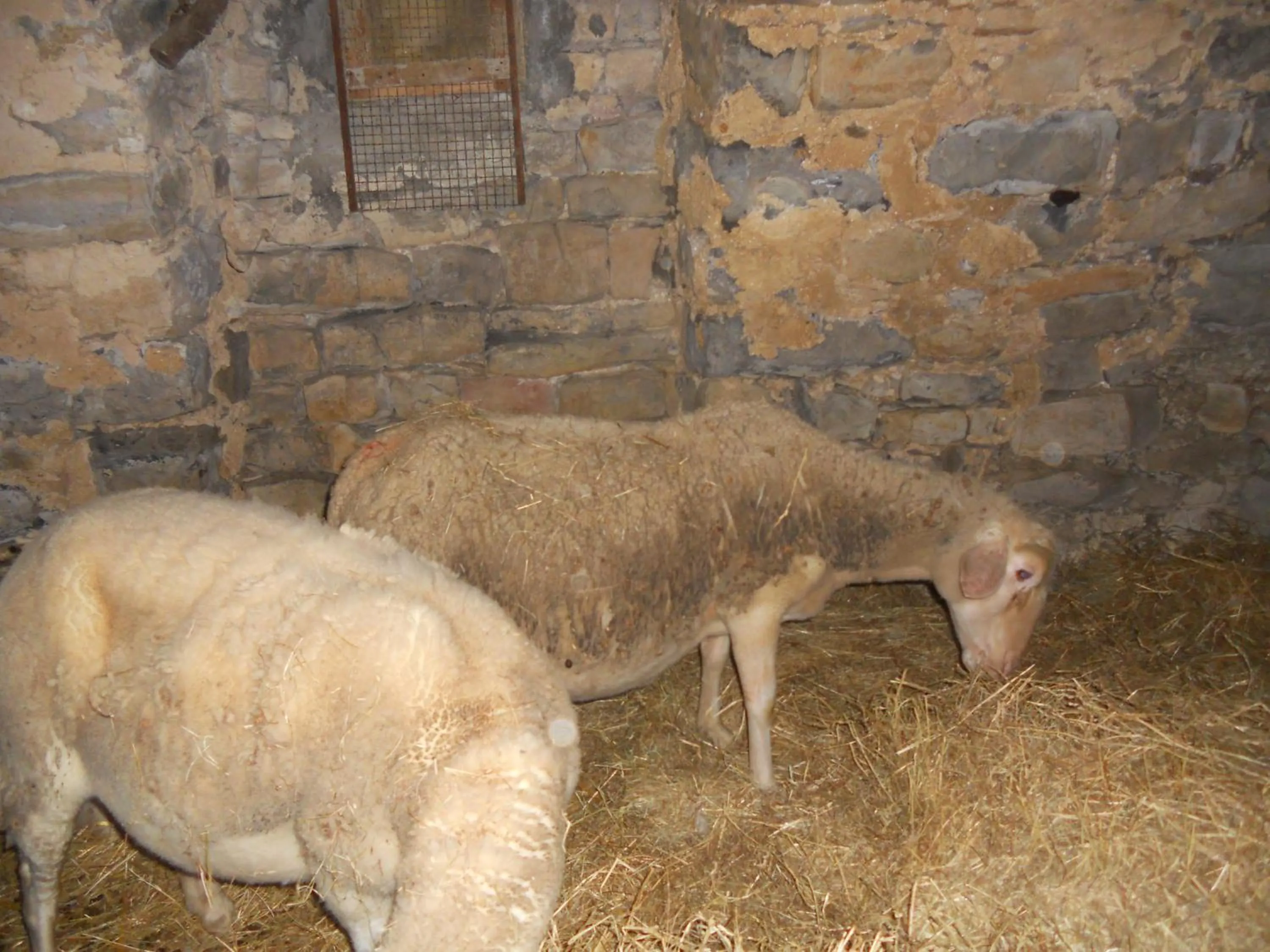 Area and facilities in Domaine d'Alcapiès