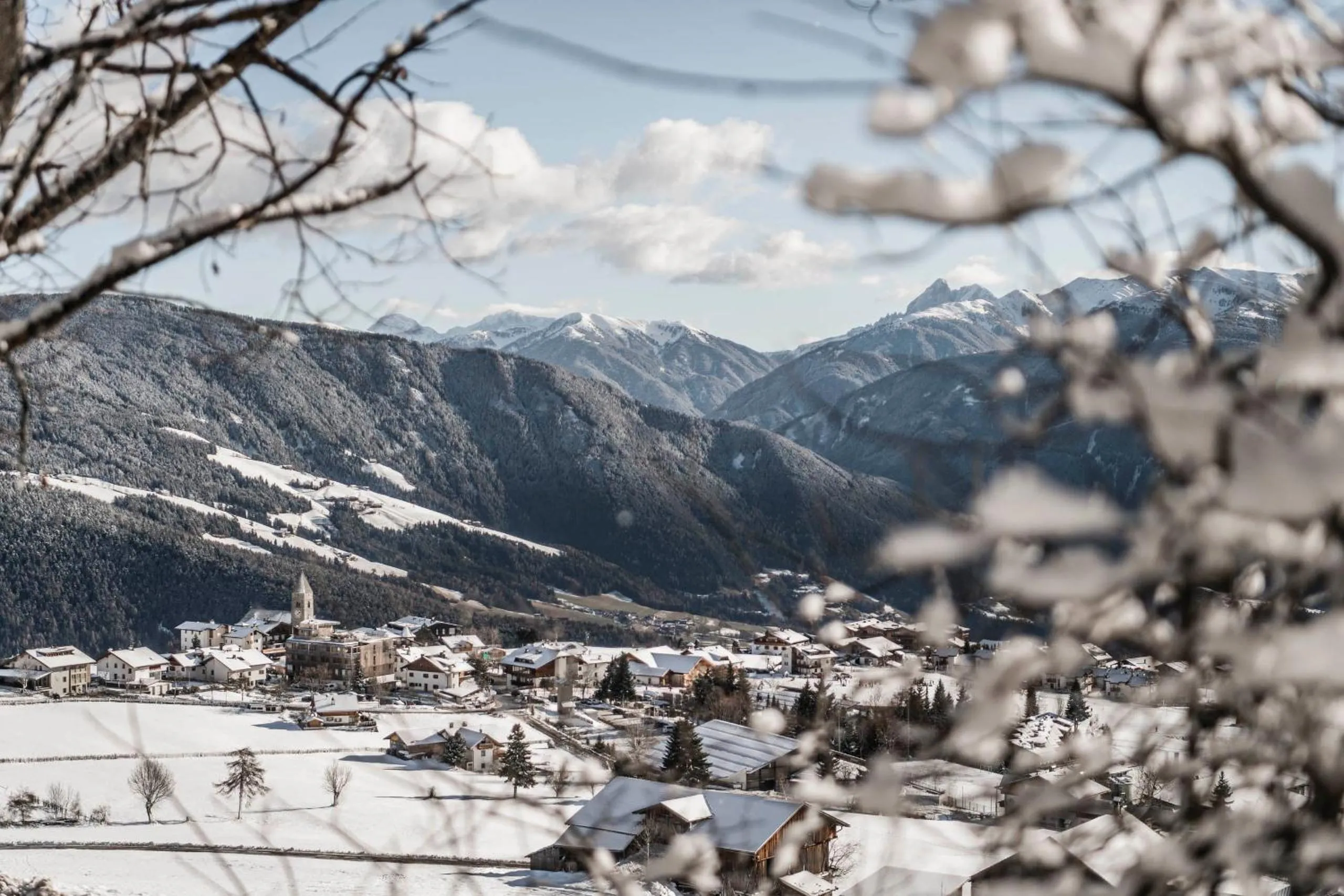 Natural landscape in Hotel Ambet