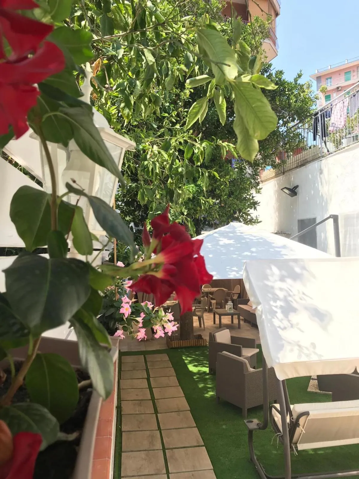 Virgilio’s Garden