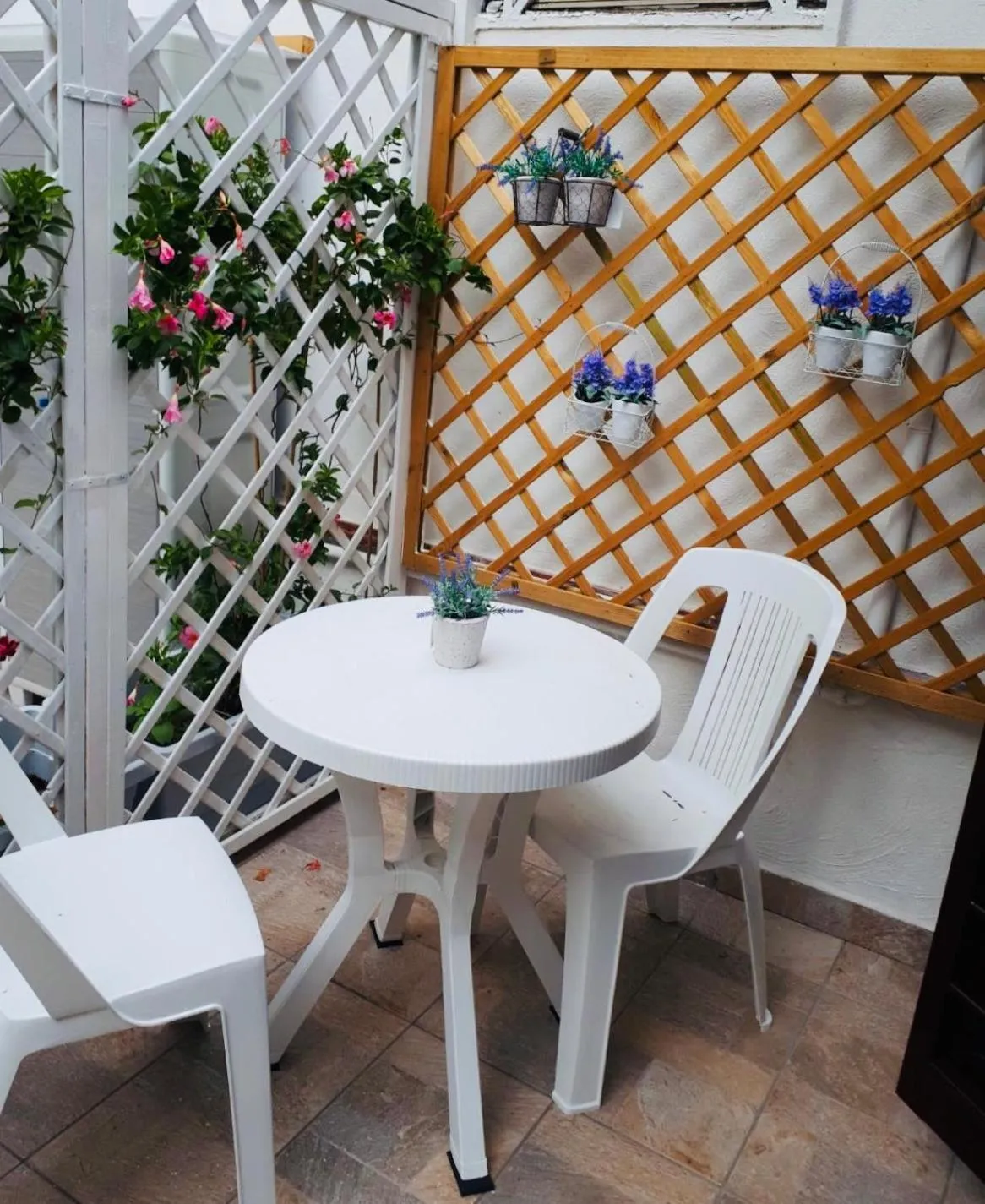Virgilio’s Garden