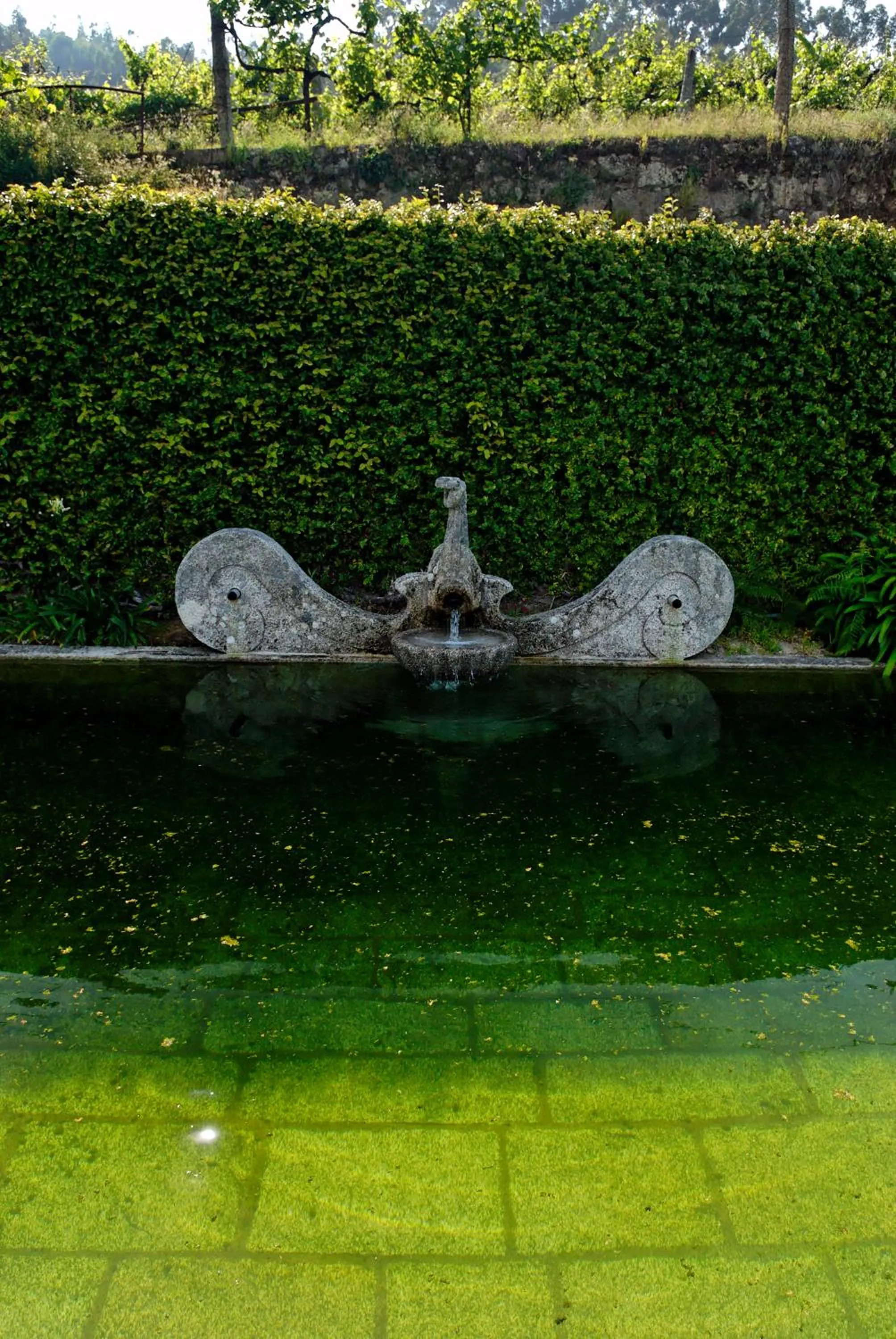 Day in Quinta de Malta