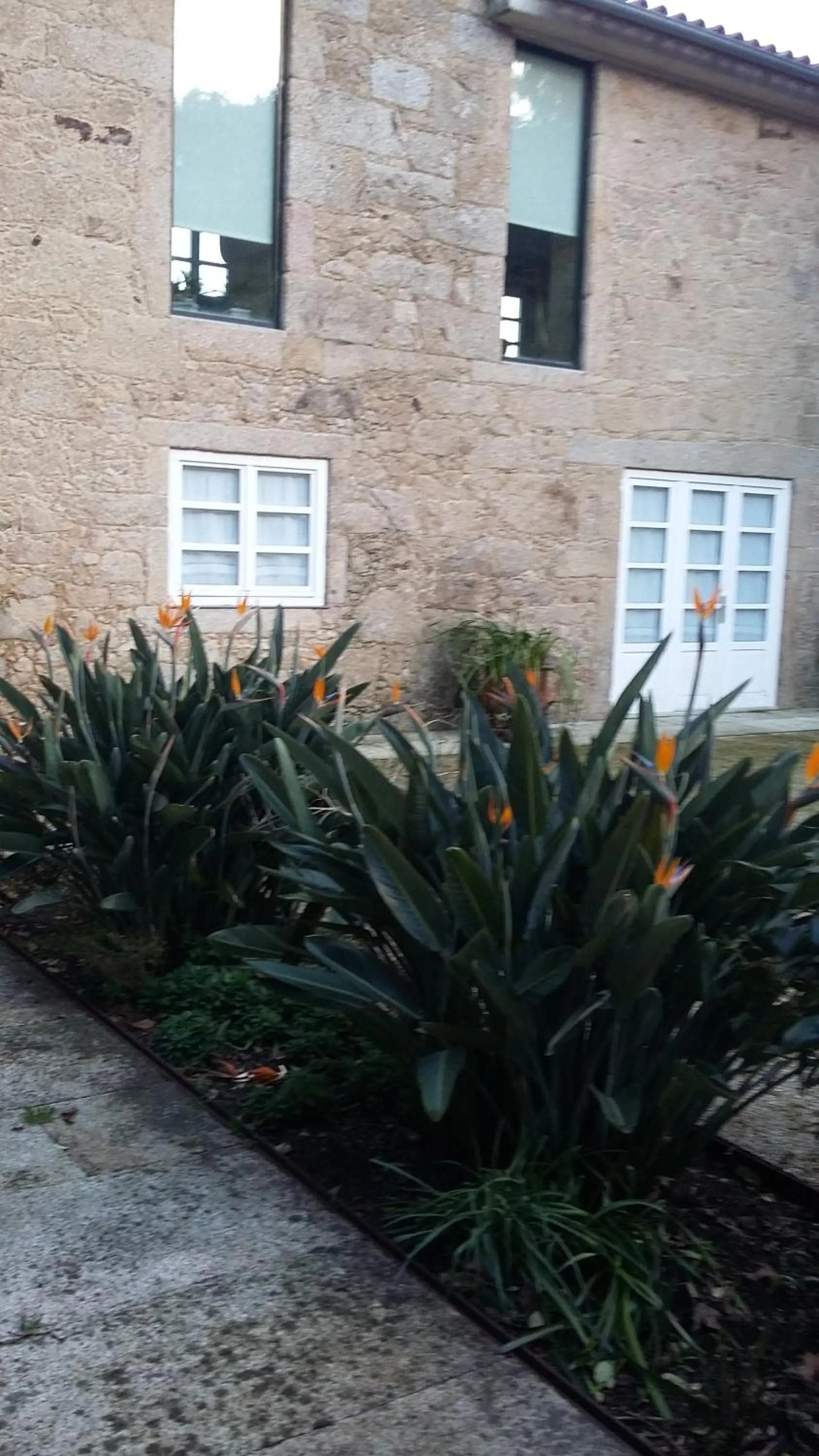 Property building in Quinta de Malta