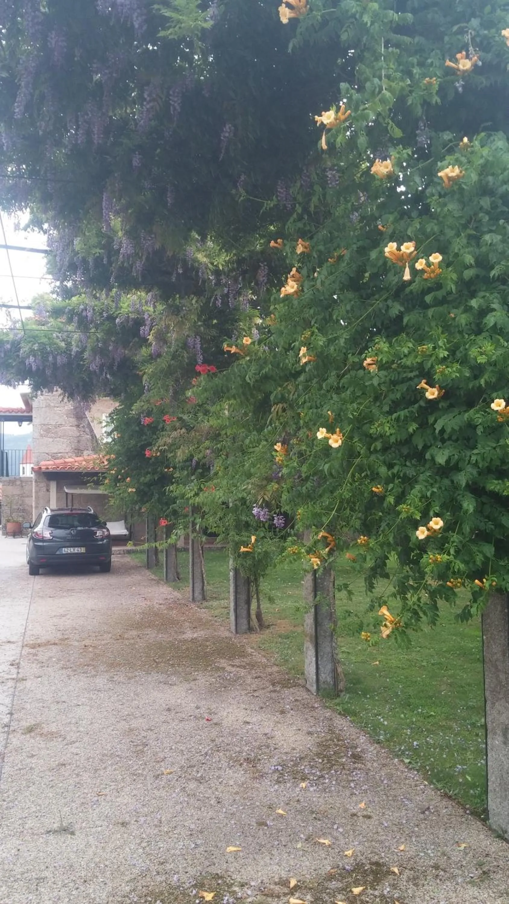 Day in Quinta de Malta