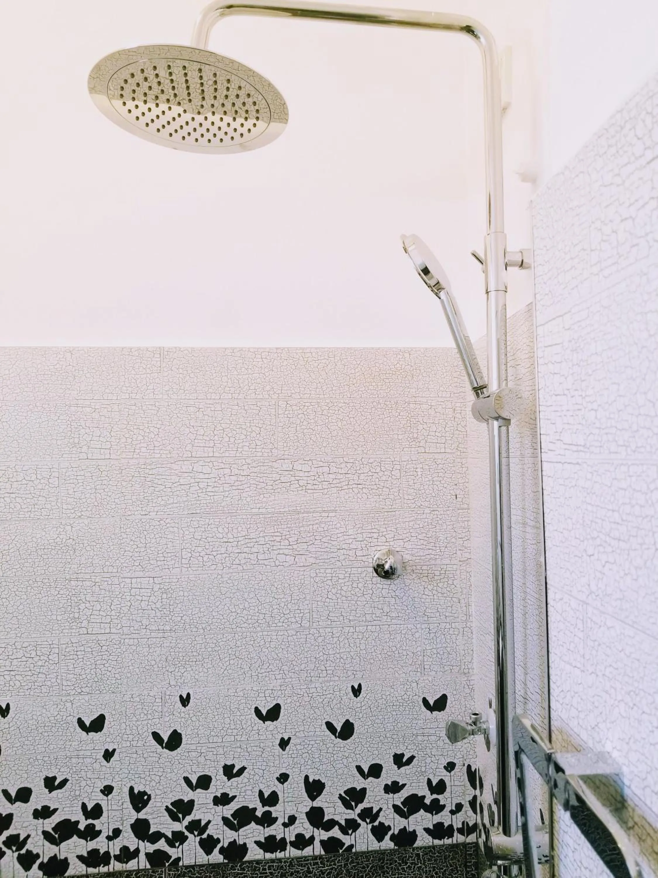 Shower in Queens mount