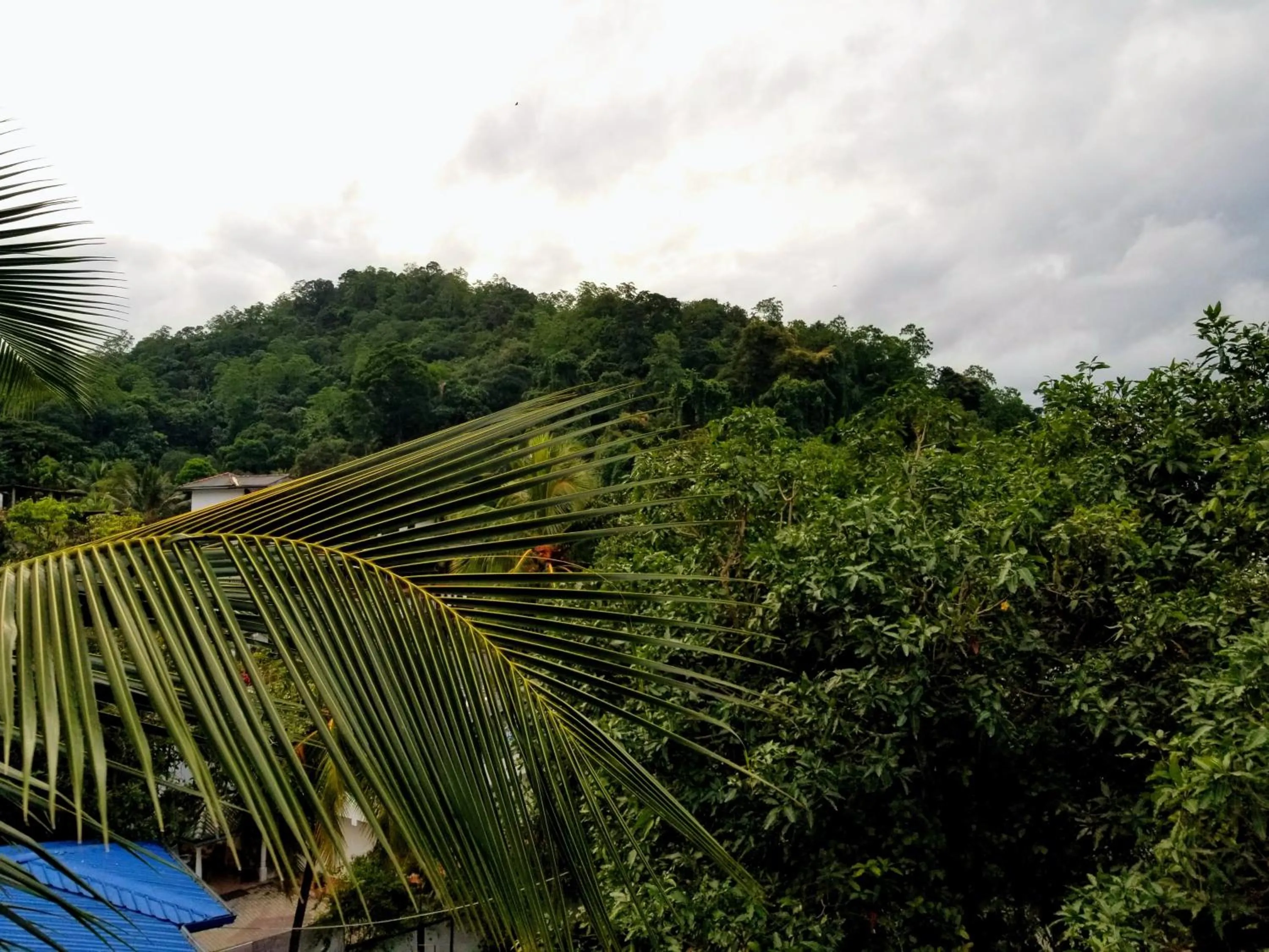 Natural landscape in Queens mount