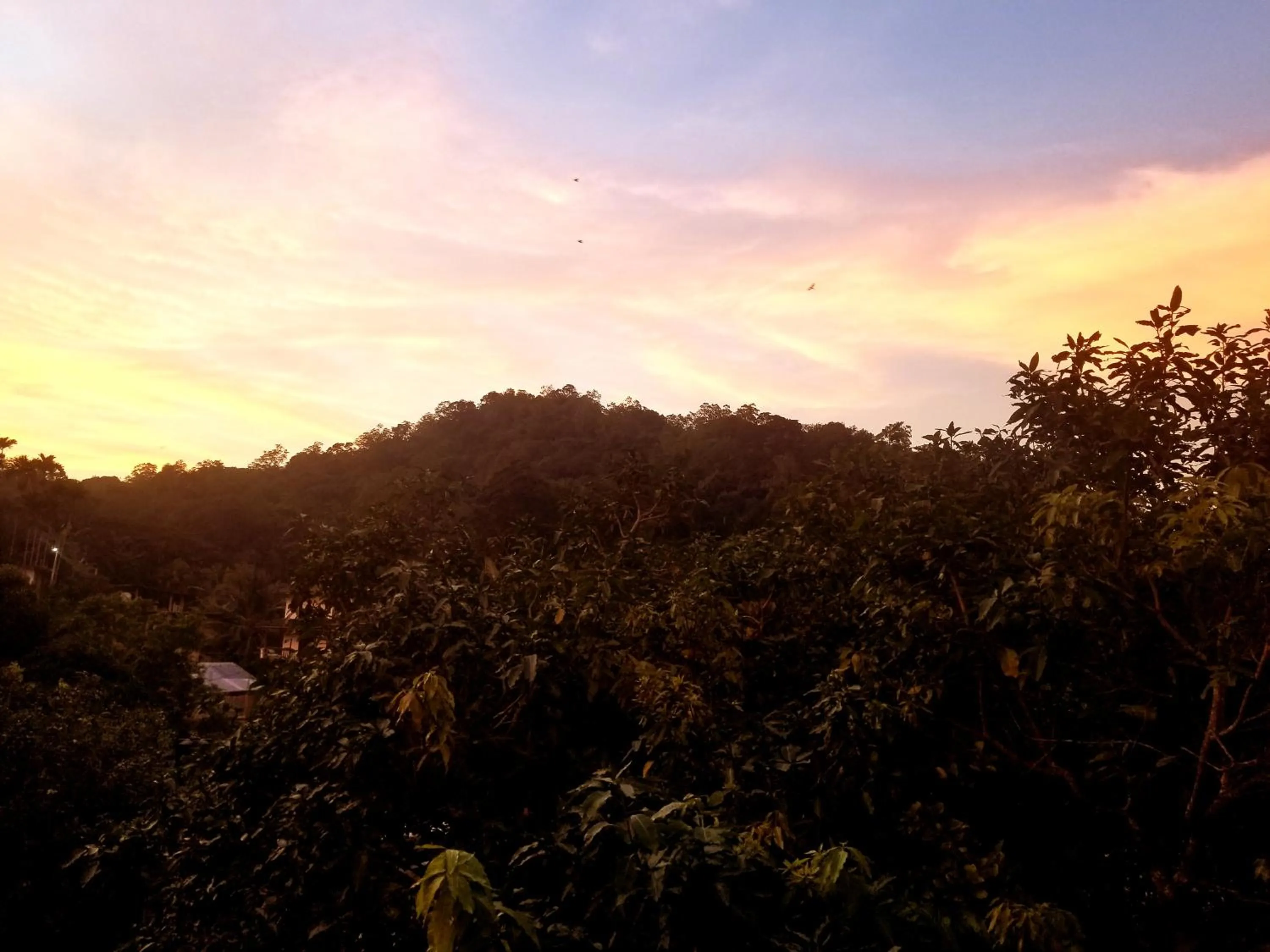 Neighbourhood in Queens mount