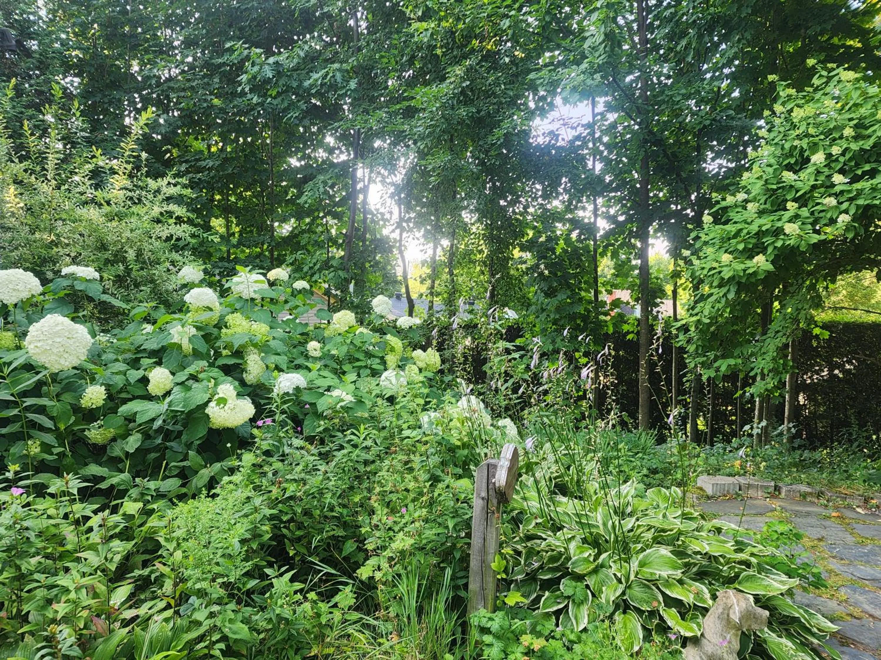 Property building in Ô Bois Dormant B&B