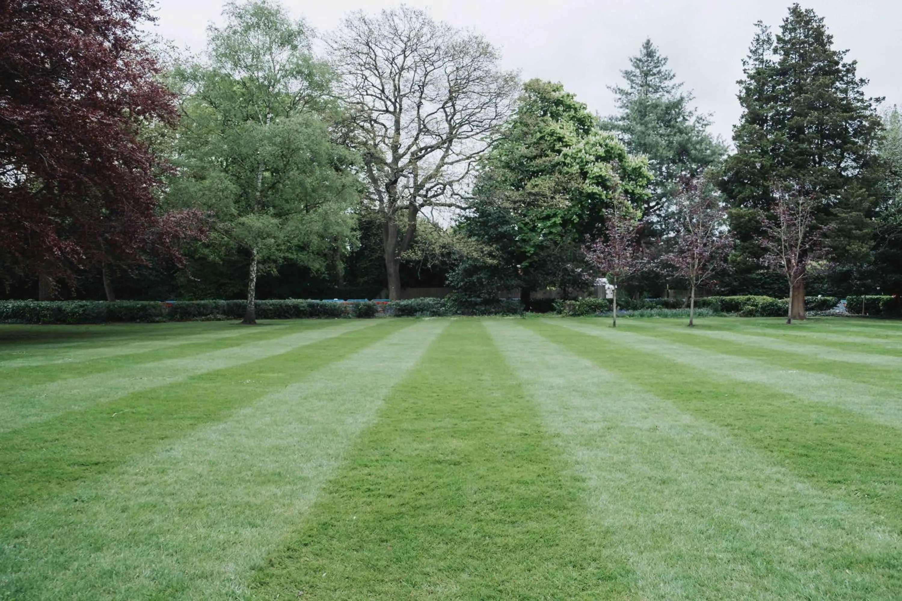 Garden in Edgbaston Park Hotel Birmingham