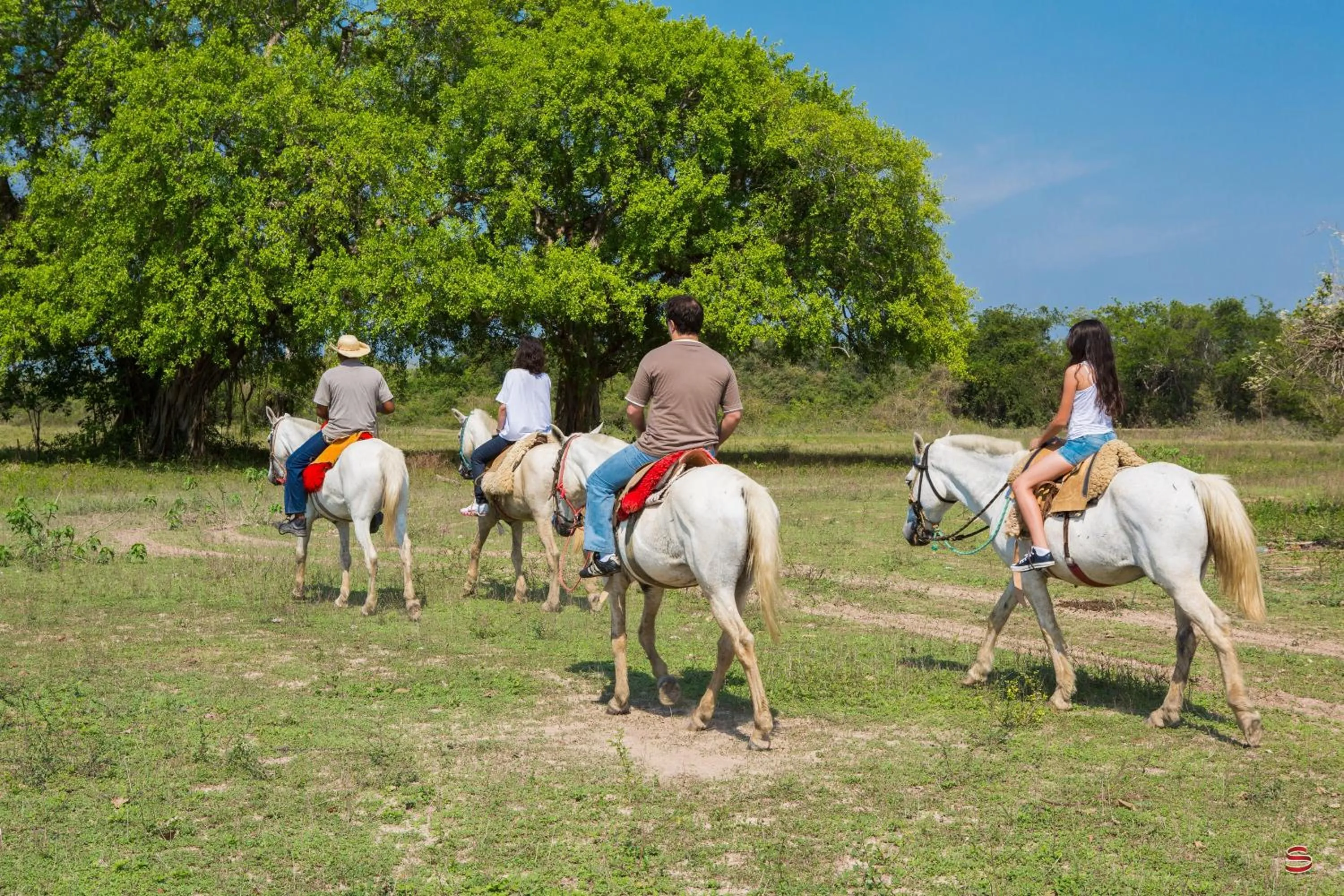 Horse-riding in Hotel Pantanal Mato Grosso
