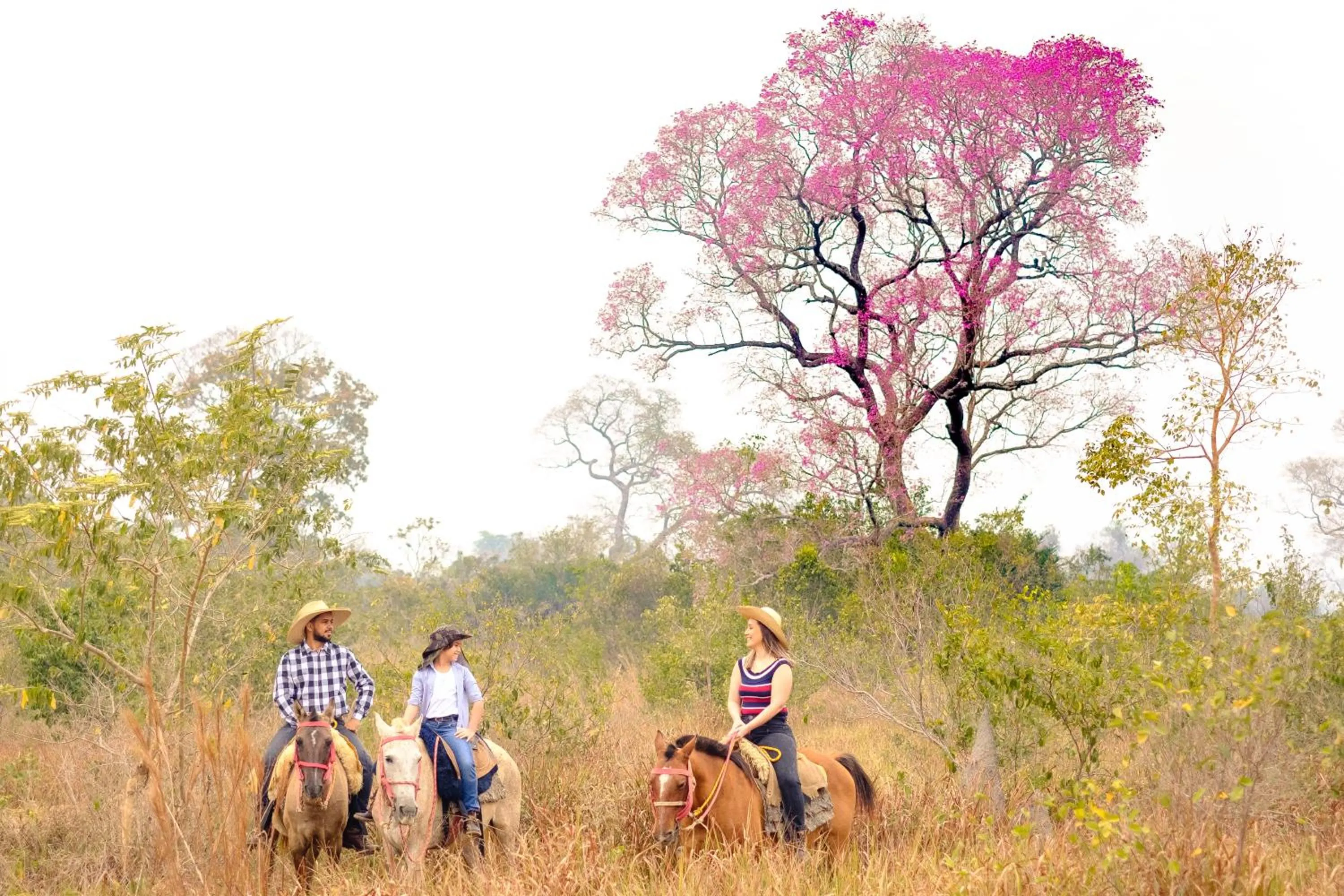 Horse-riding in Hotel Pantanal Mato Grosso