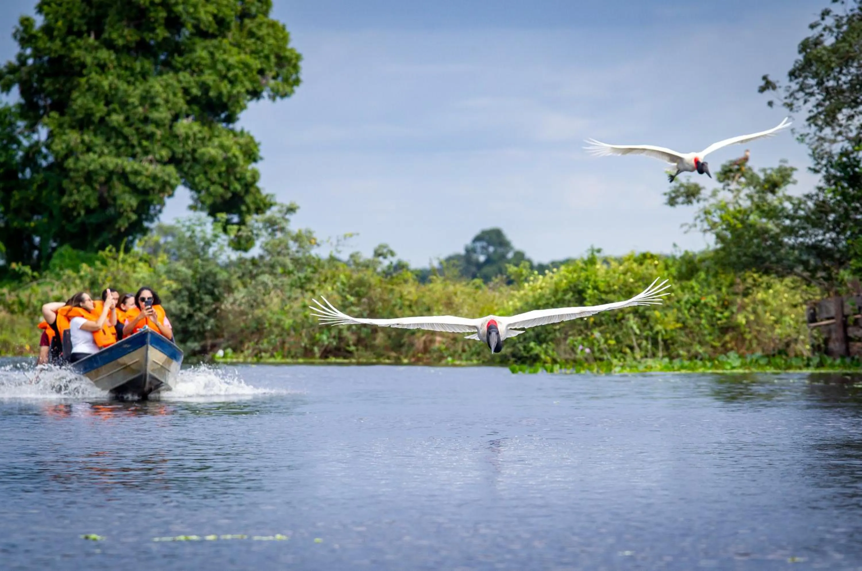 Animals in Hotel Pantanal Mato Grosso